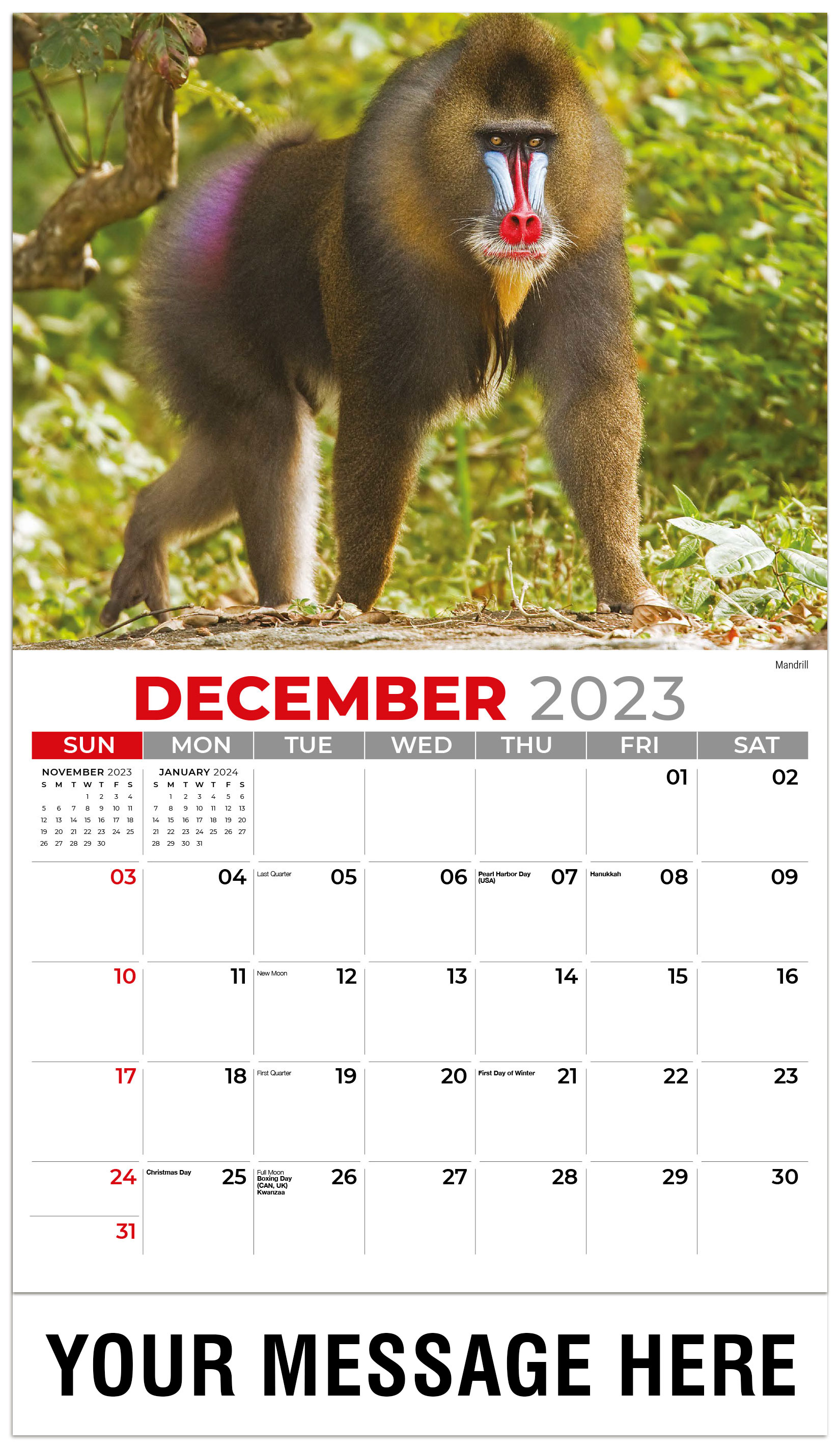 2023 International Wildlife 13 