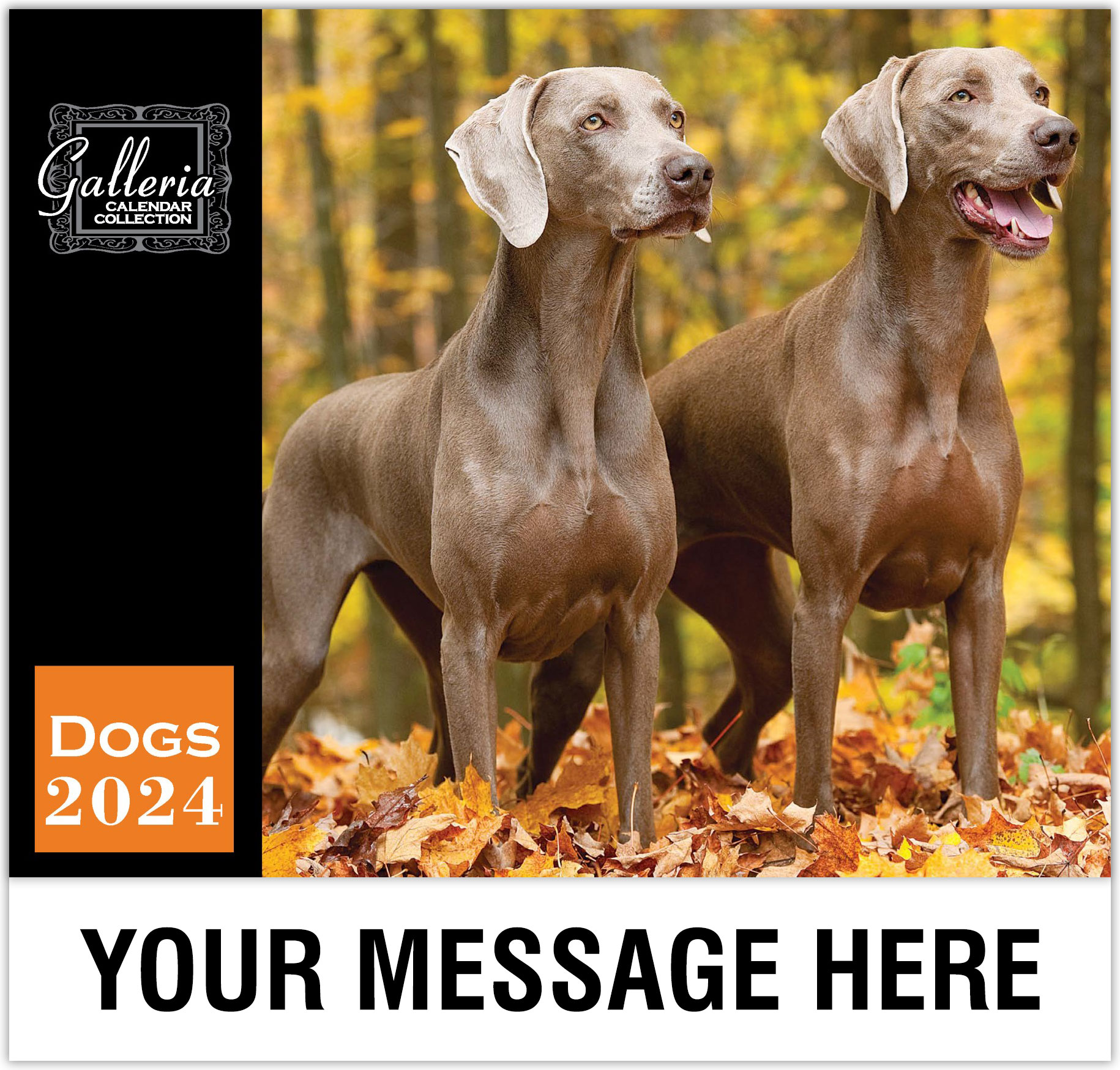 Dogs Wall Calendar
