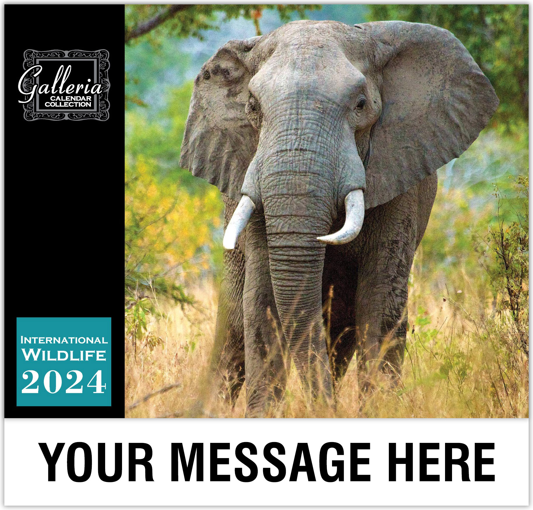International Wildlife Wall Calendar