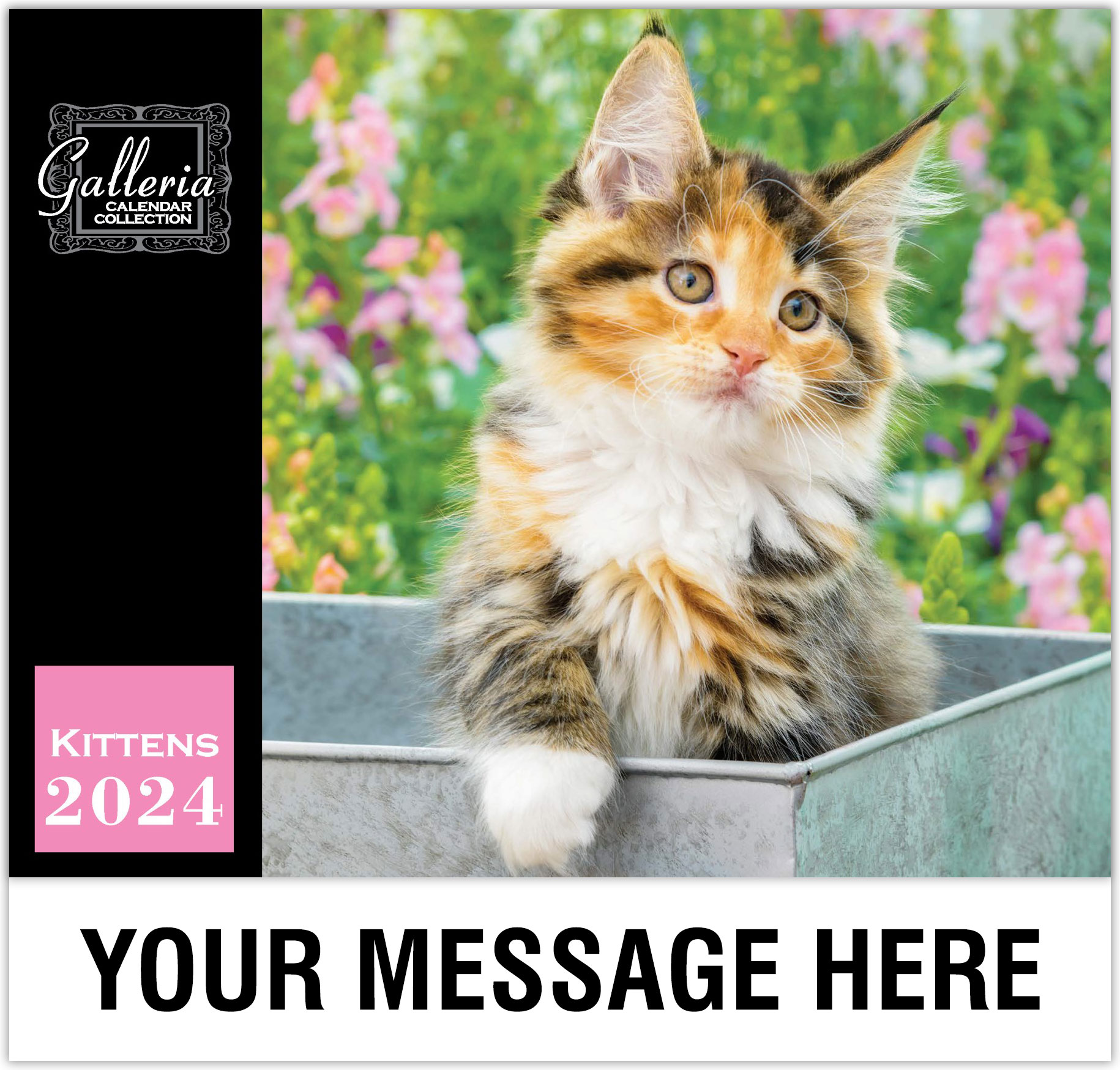 Kittens Wall Calendar