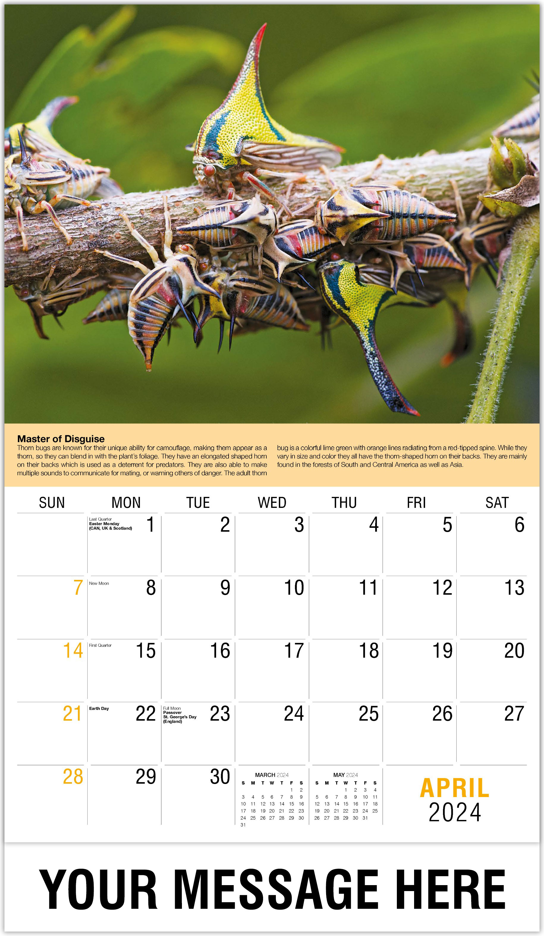 GalleriaCalendars