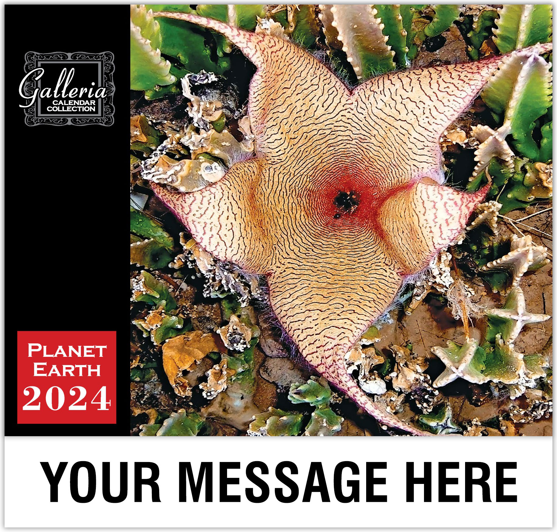 Planet Earth Wall Calendar