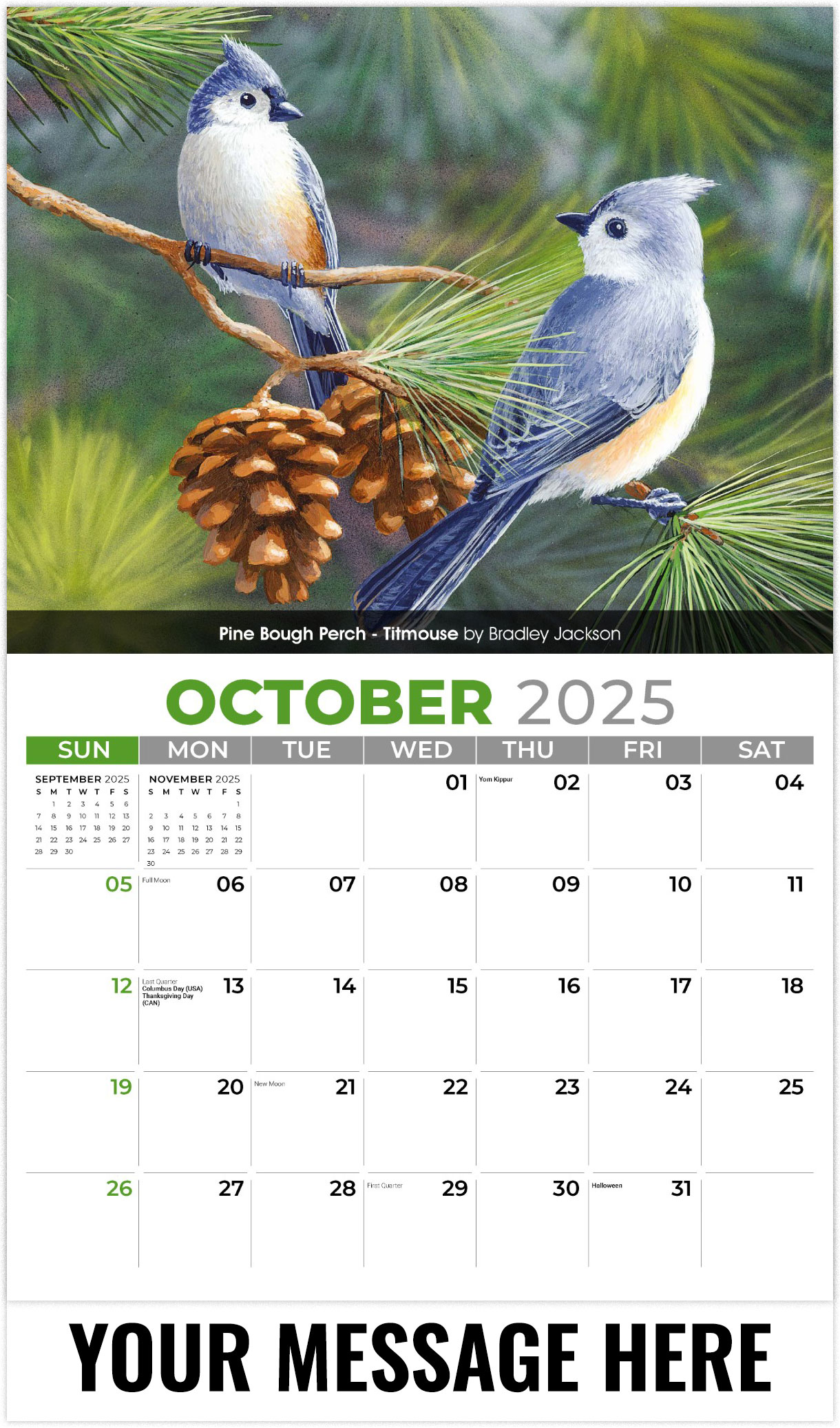 Galleria Garden Birds - 2025