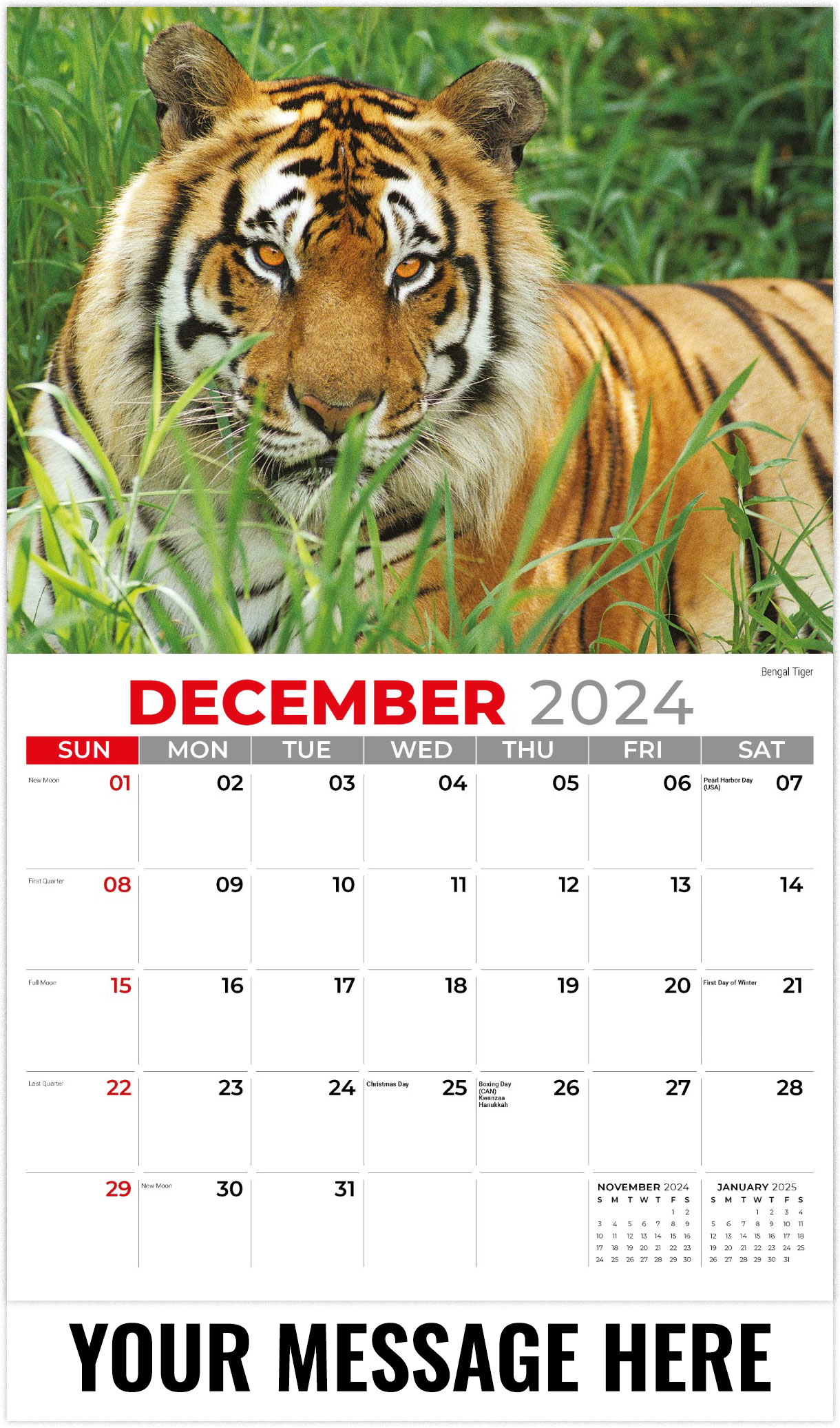 Galleria International Wildlife - 2025