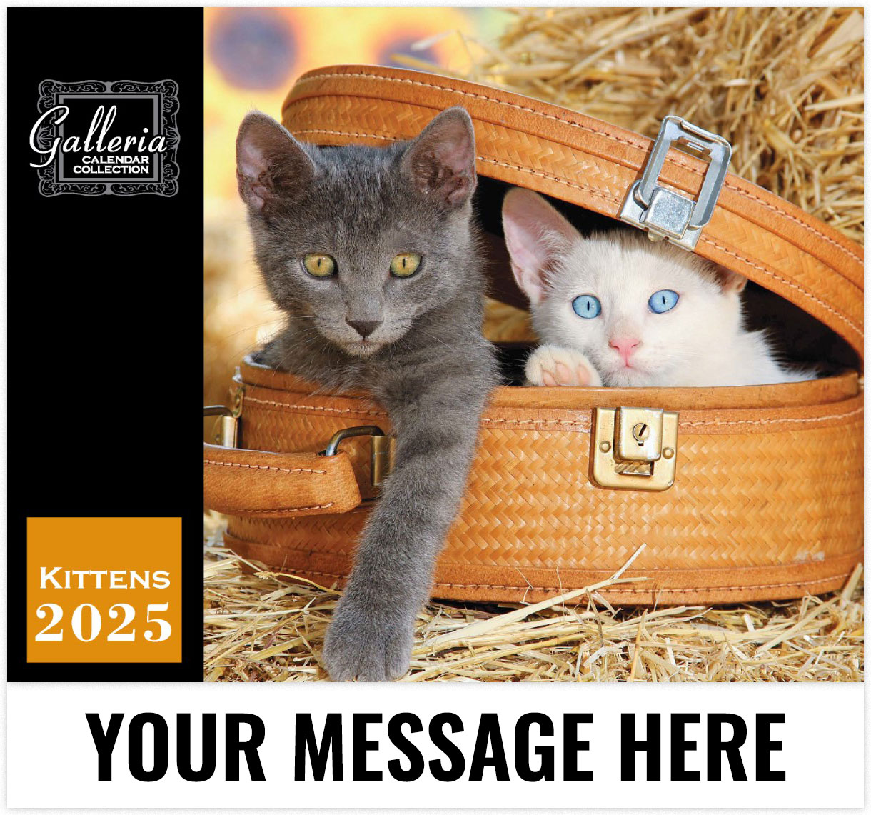 Galleria Kittens - 2025