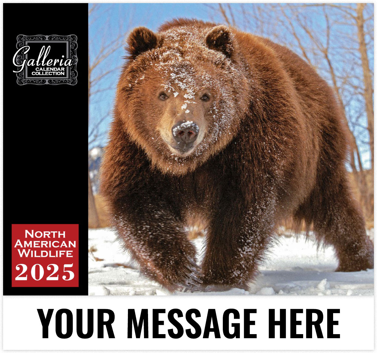 Galleria North American Wildlife - 2025