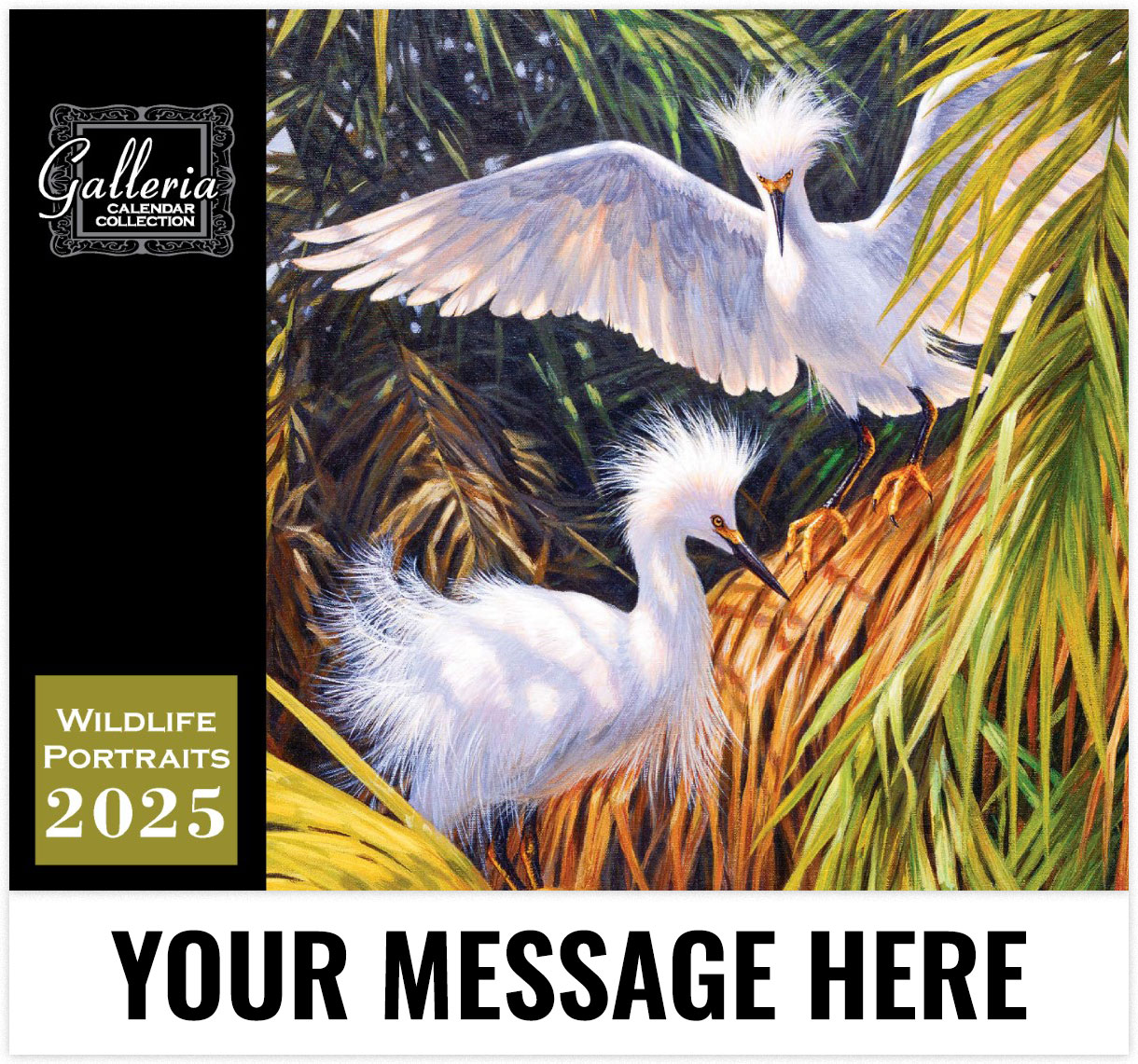 Galleria Wildlife Portraits - 2025