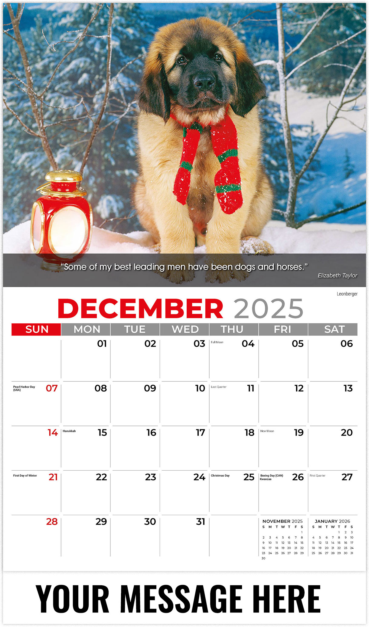 Galleria Dogs - 2026