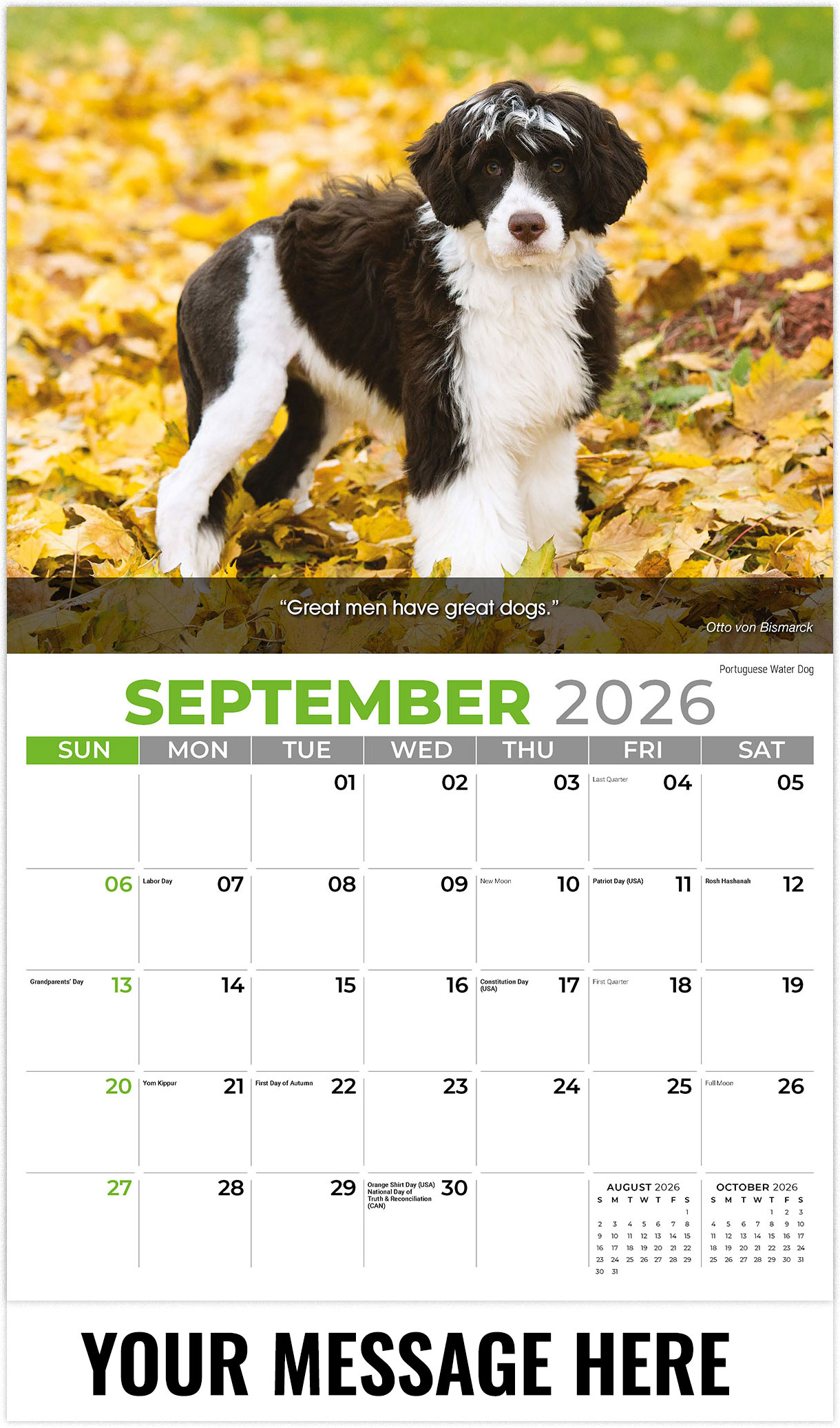 Galleria Dogs - 2026