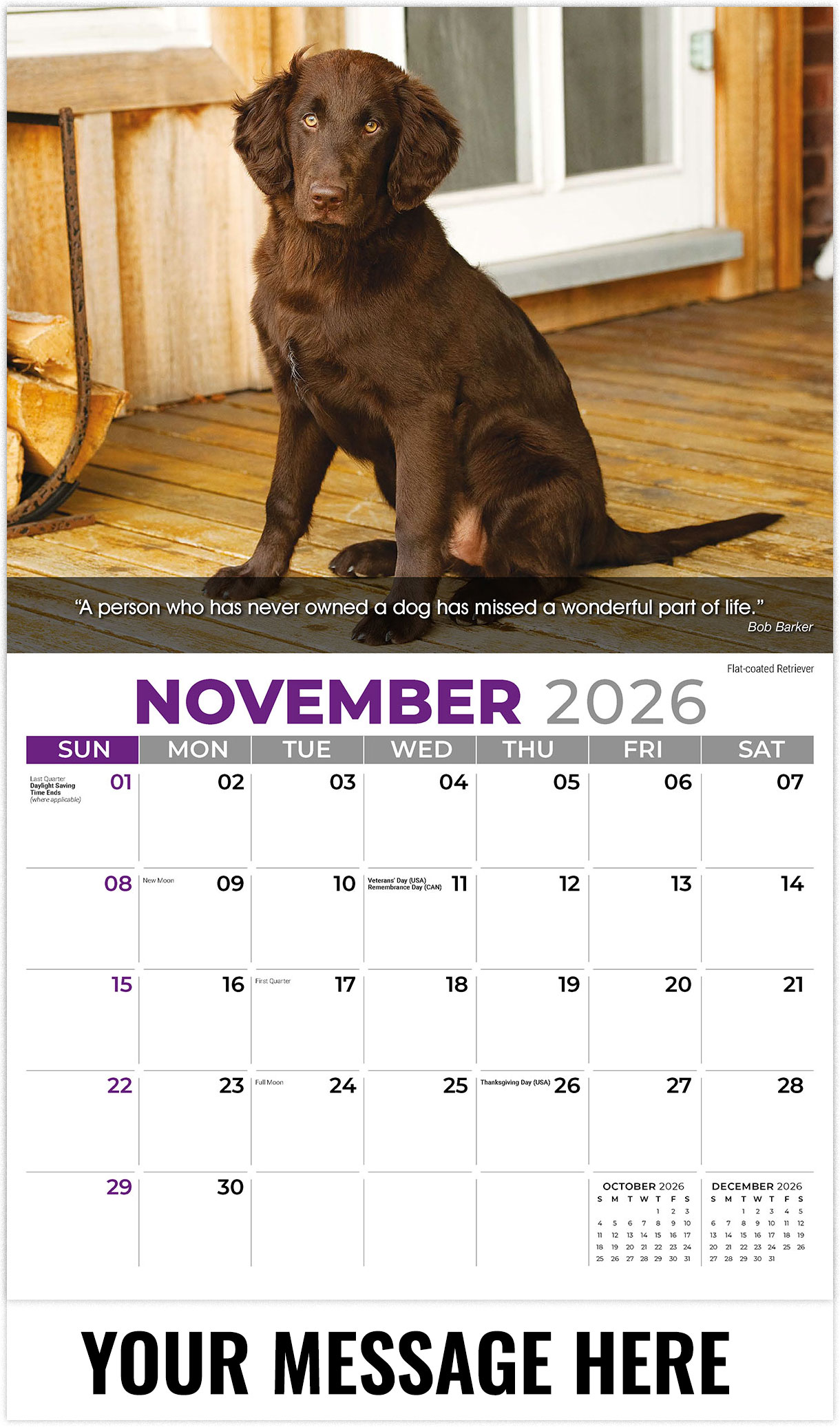 Galleria Dogs - 2026