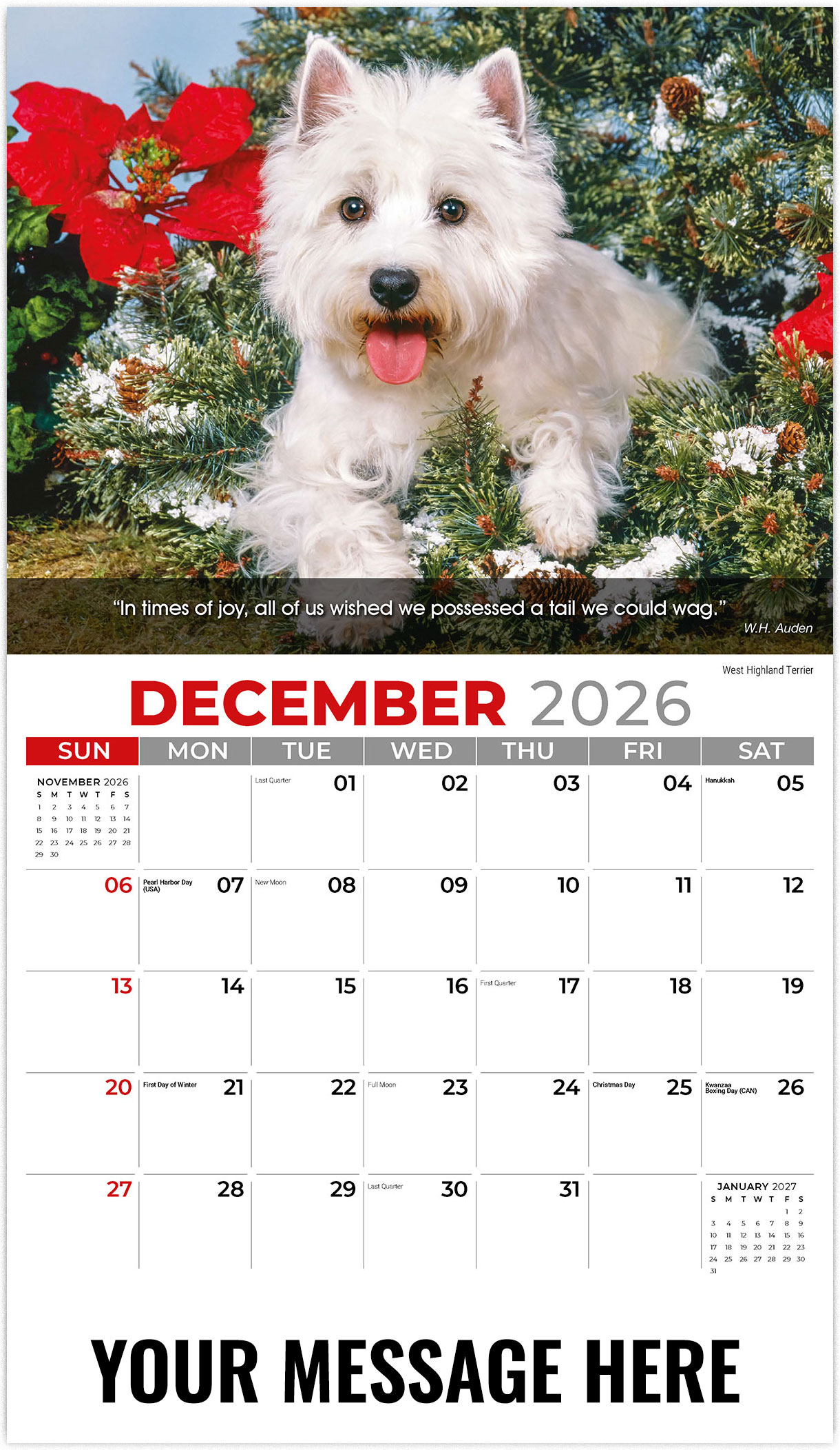 Galleria Dogs - 2026