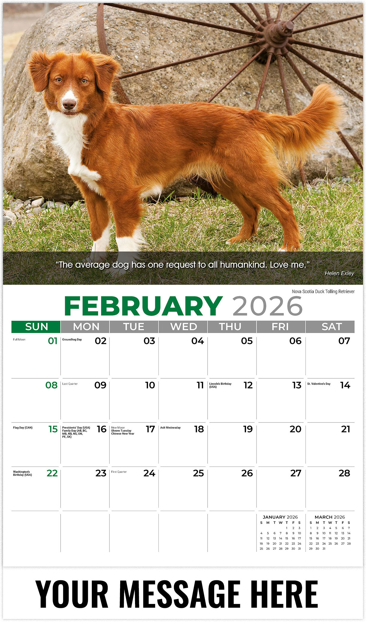 Galleria Dogs - 2026