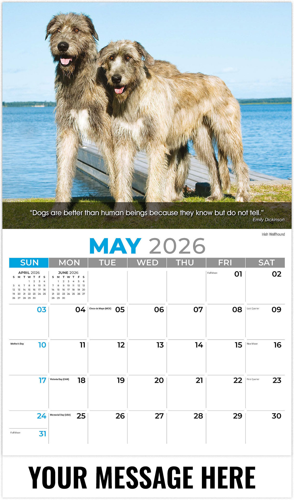 Galleria Dogs - 2026