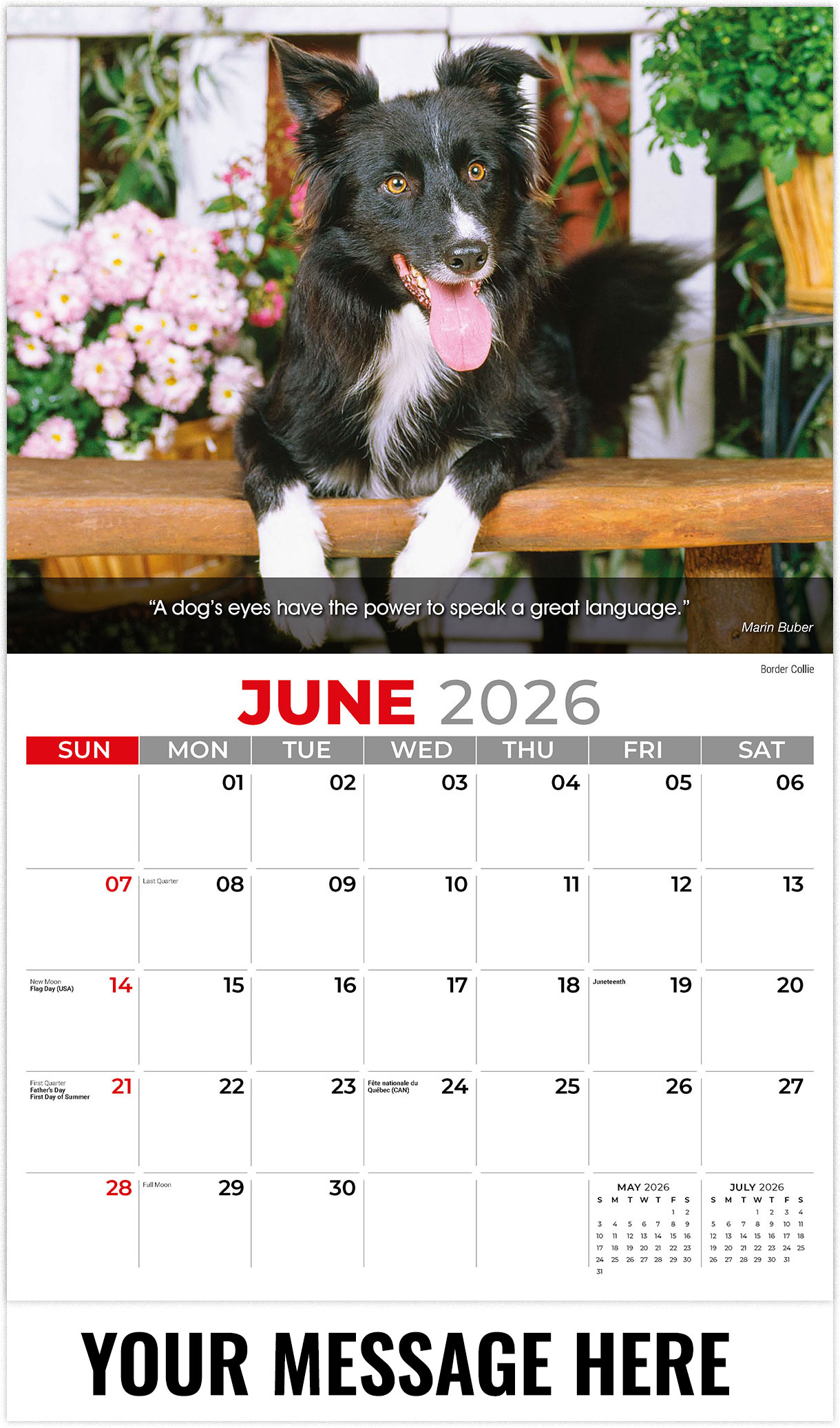 Galleria Dogs - 2026
