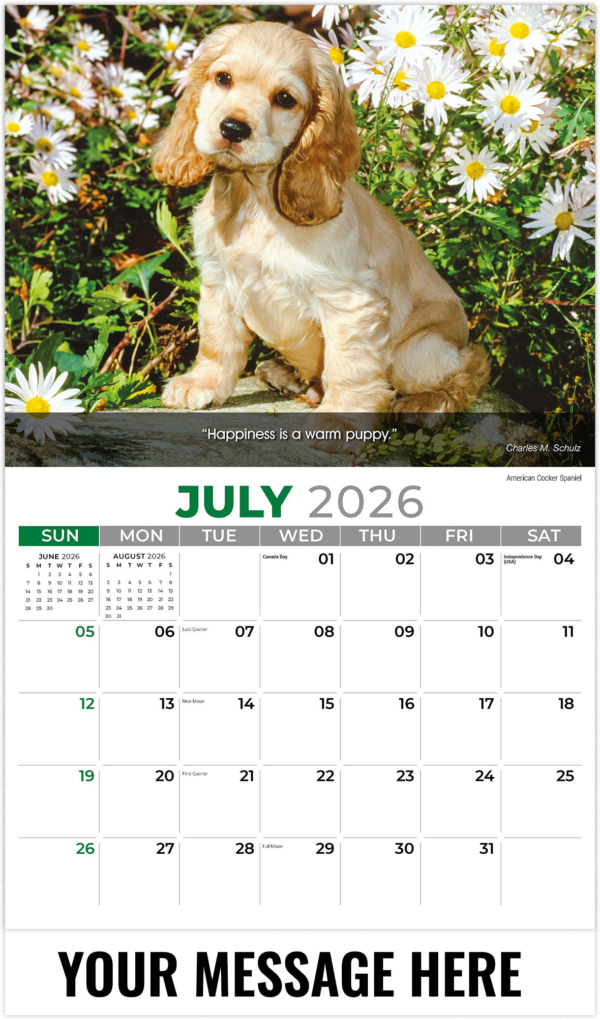 Galleria Dogs - 2026