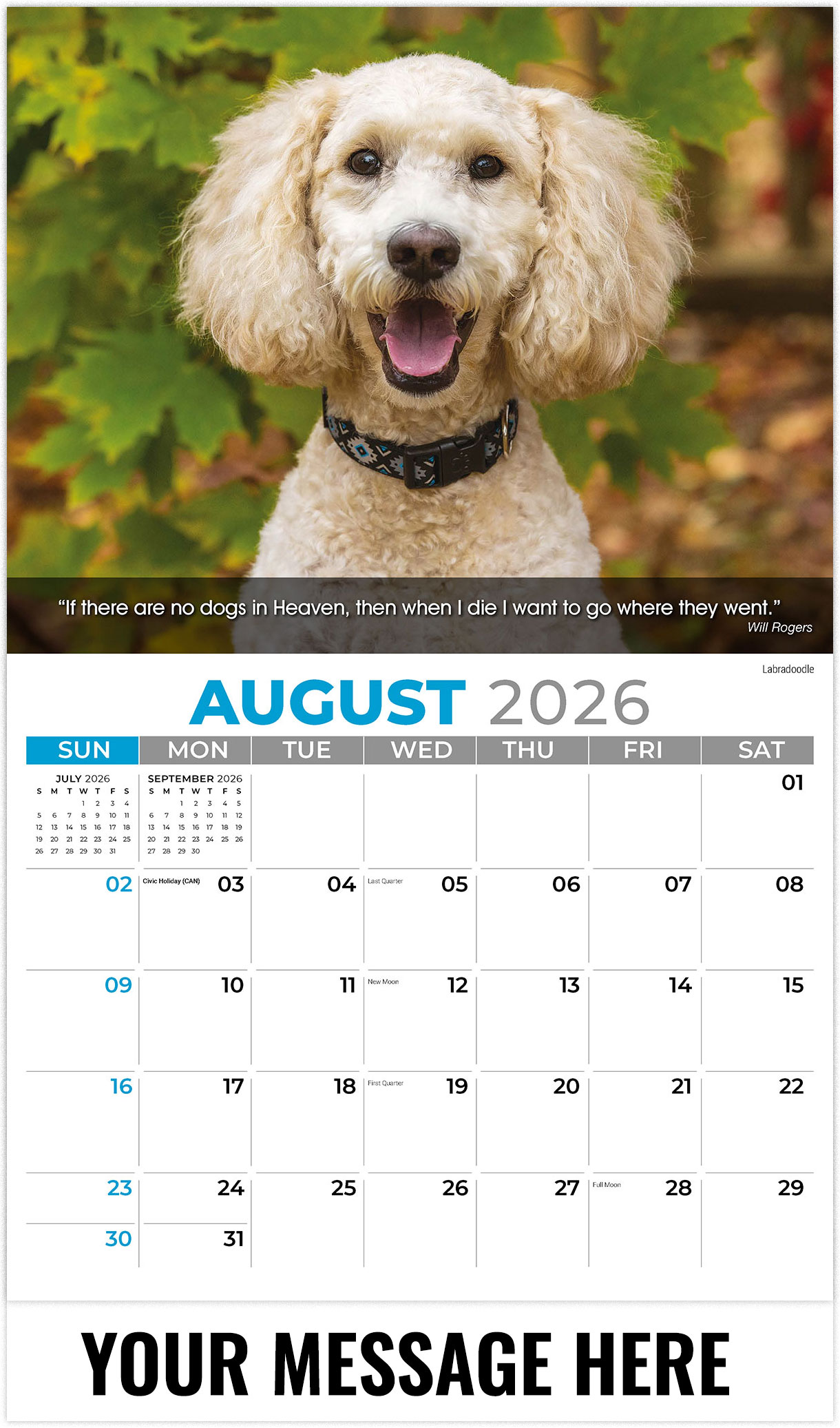 Galleria Dogs - 2026