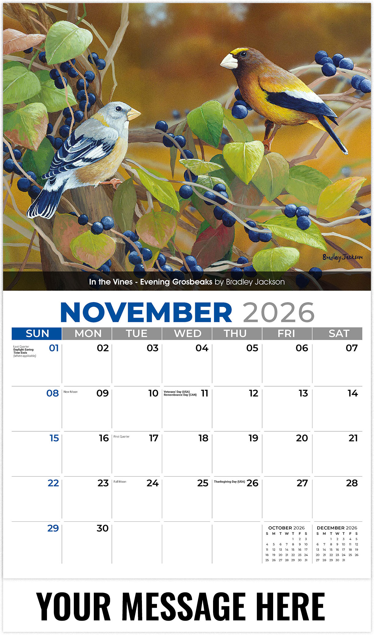 Galleria Garden Birds - 2026