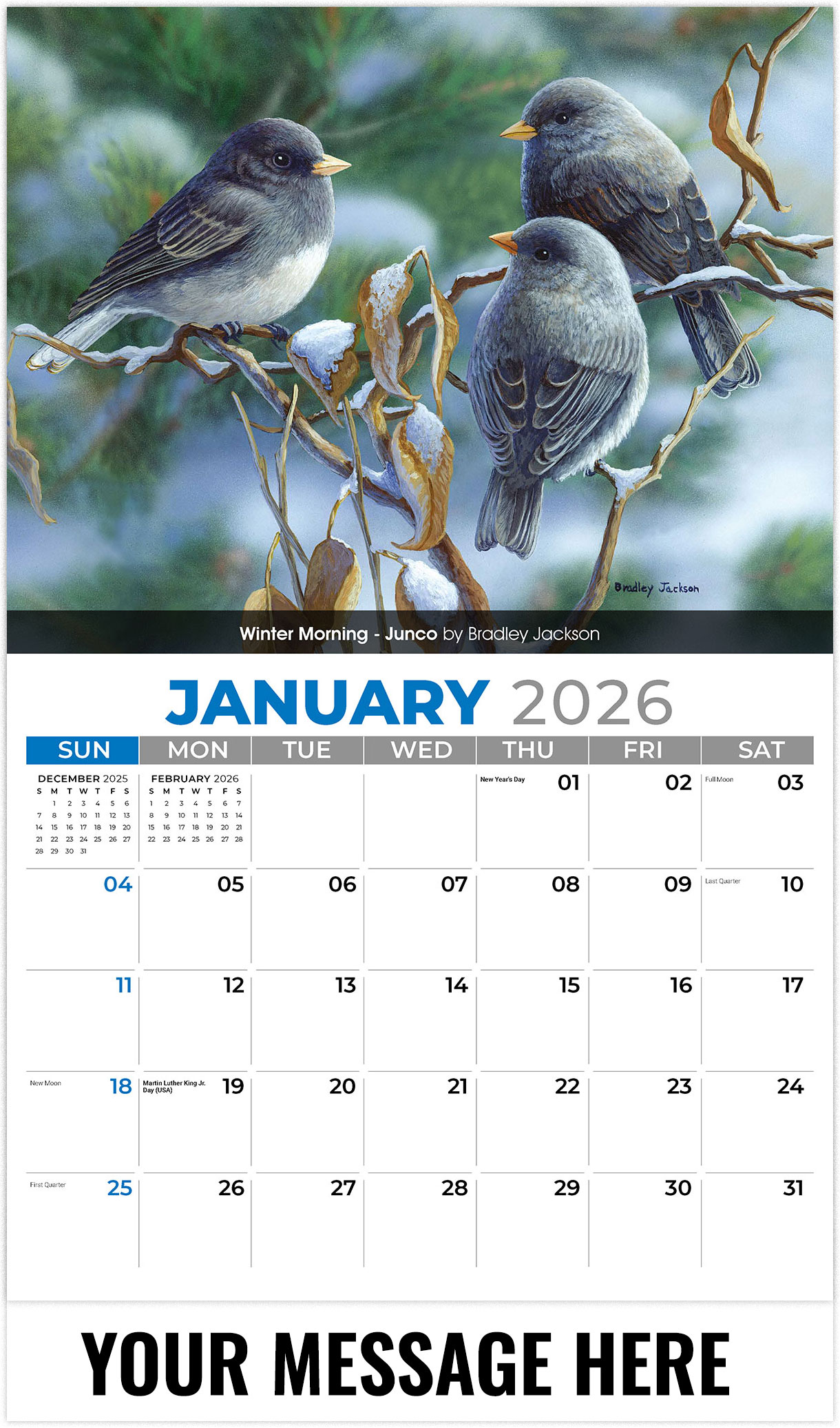 Galleria Garden Birds - 2026
