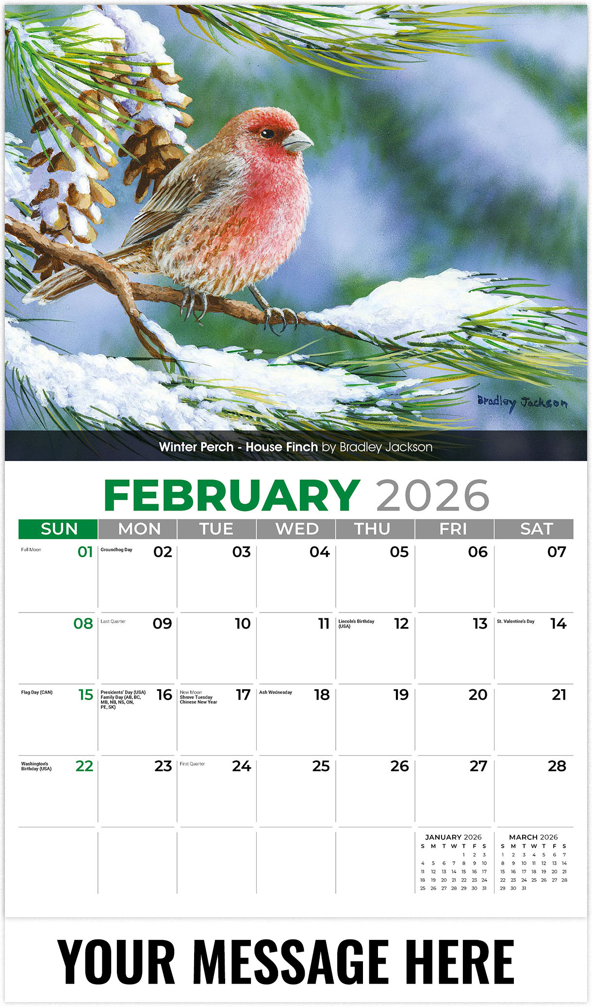 Galleria Garden Birds - 2026