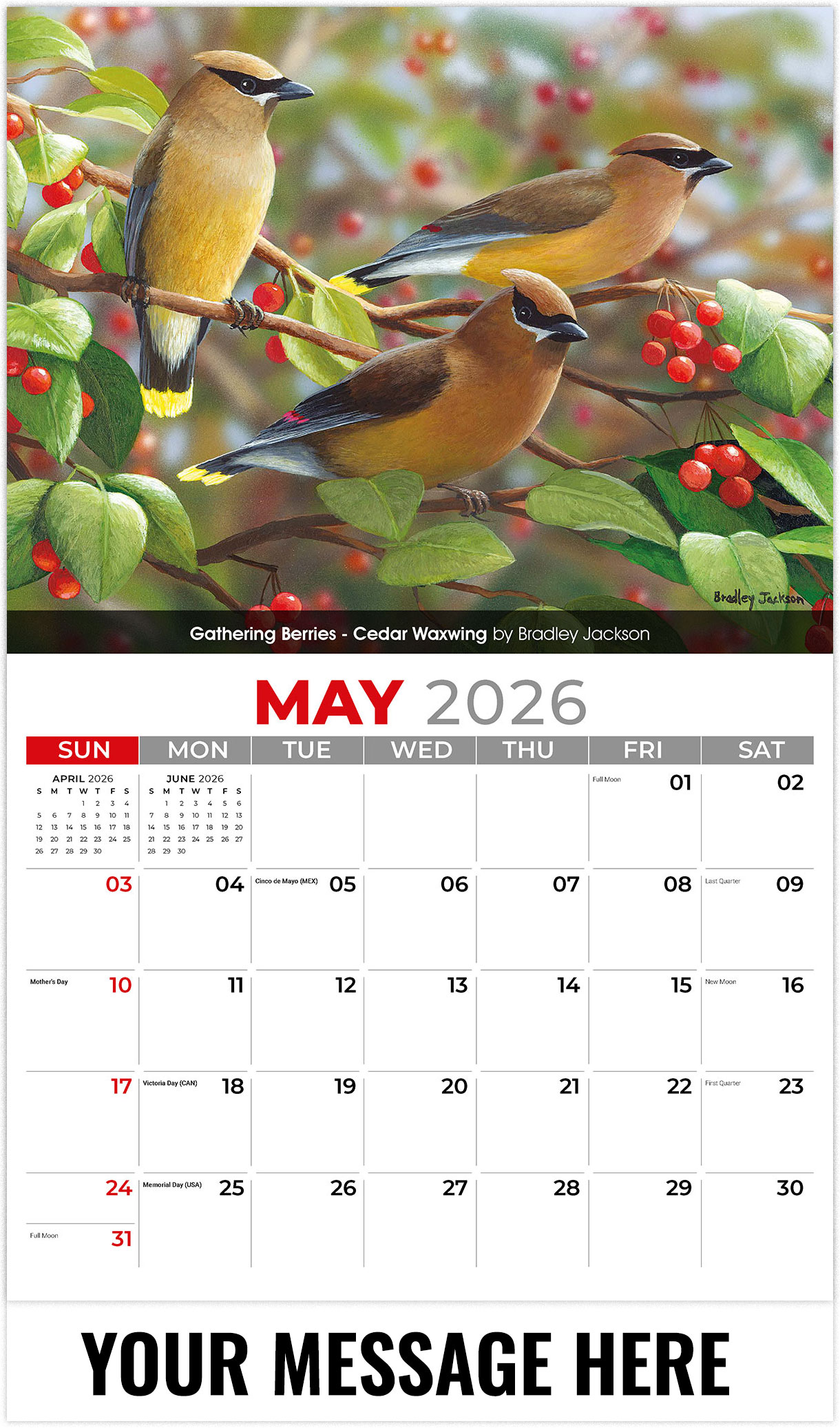 Galleria Garden Birds - 2026