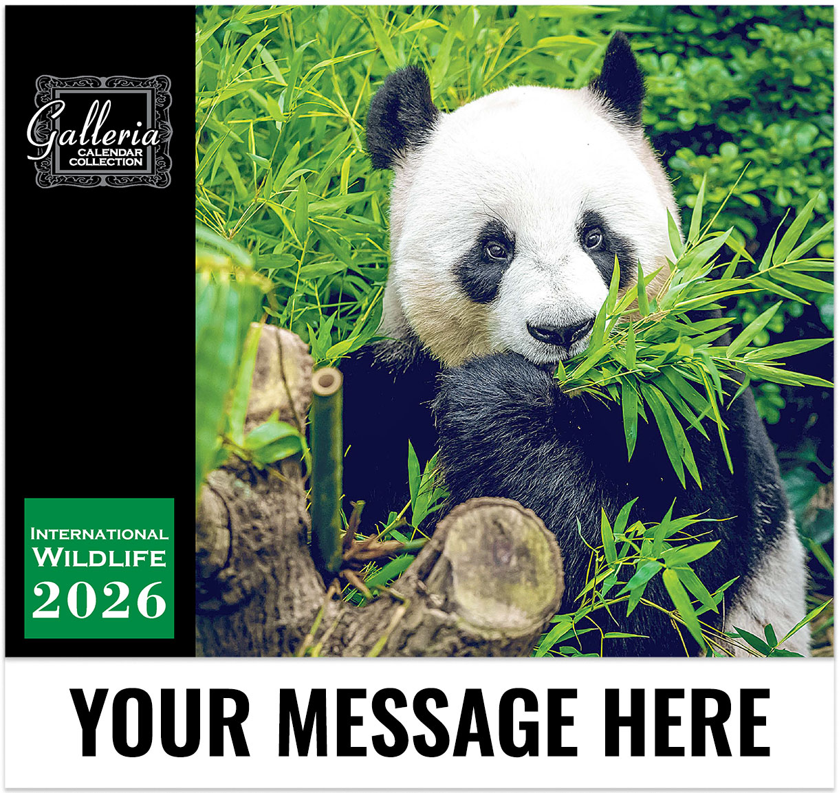 International Wildlife Wall Calendar