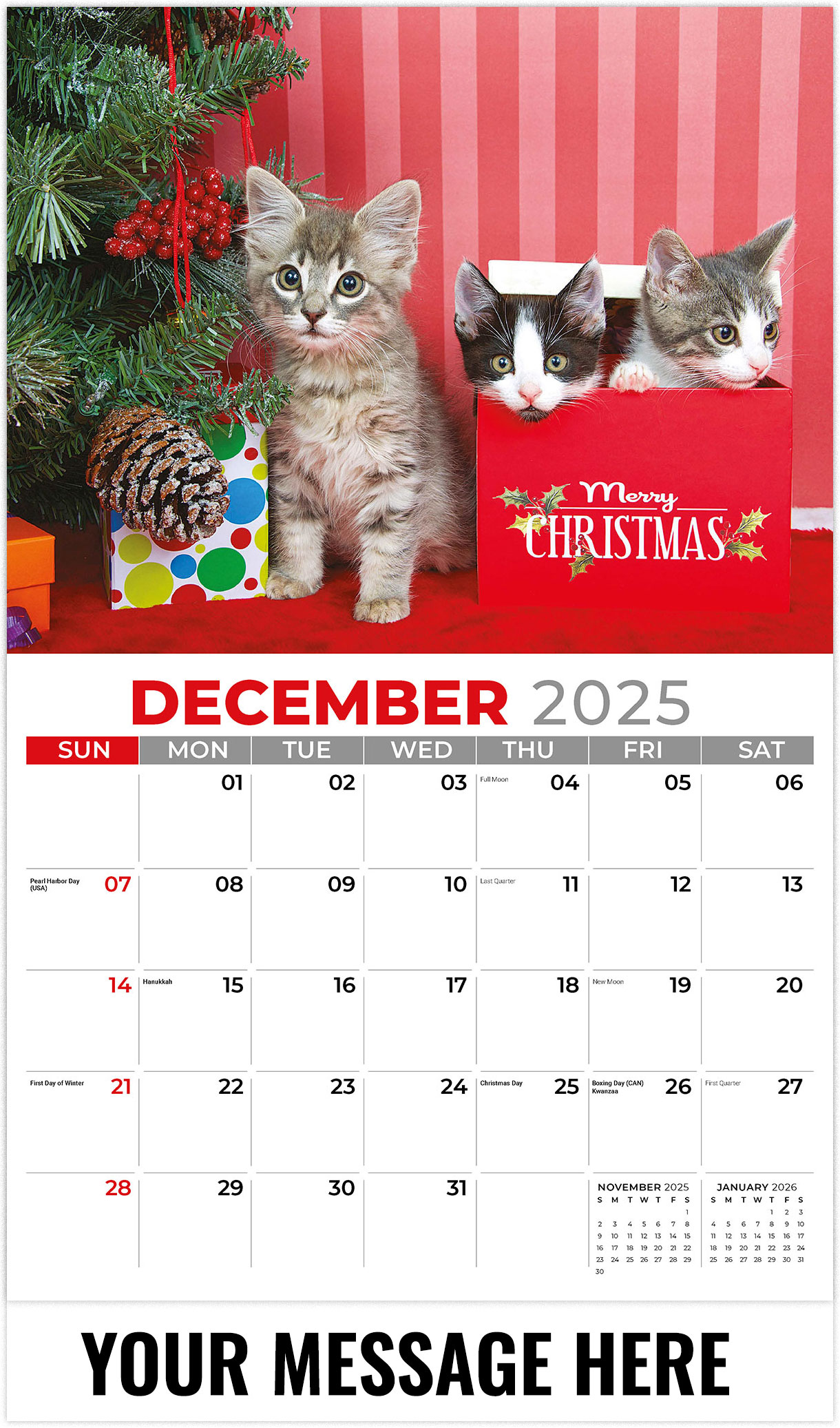 Galleria Kittens - 2026