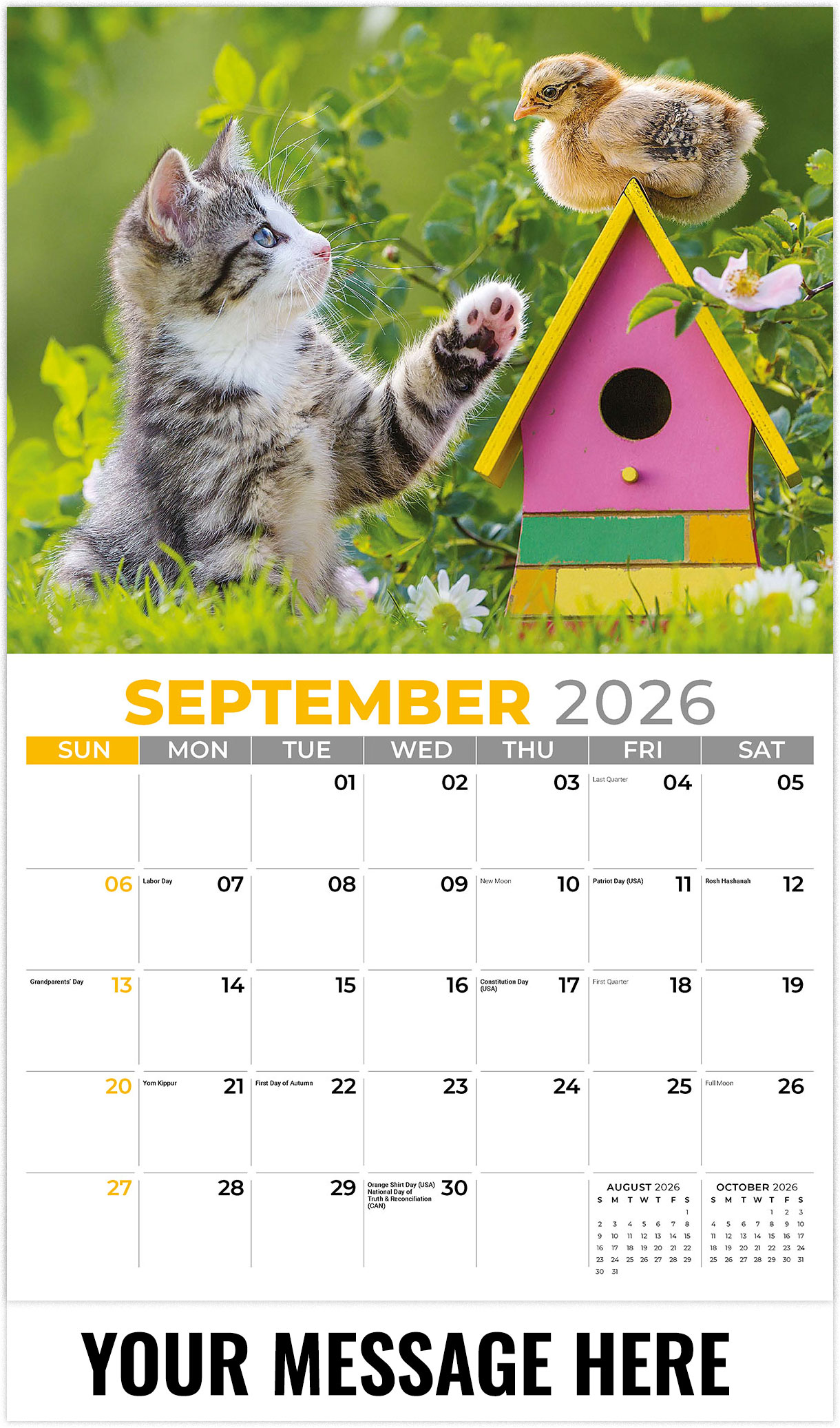 Galleria Kittens - 2026