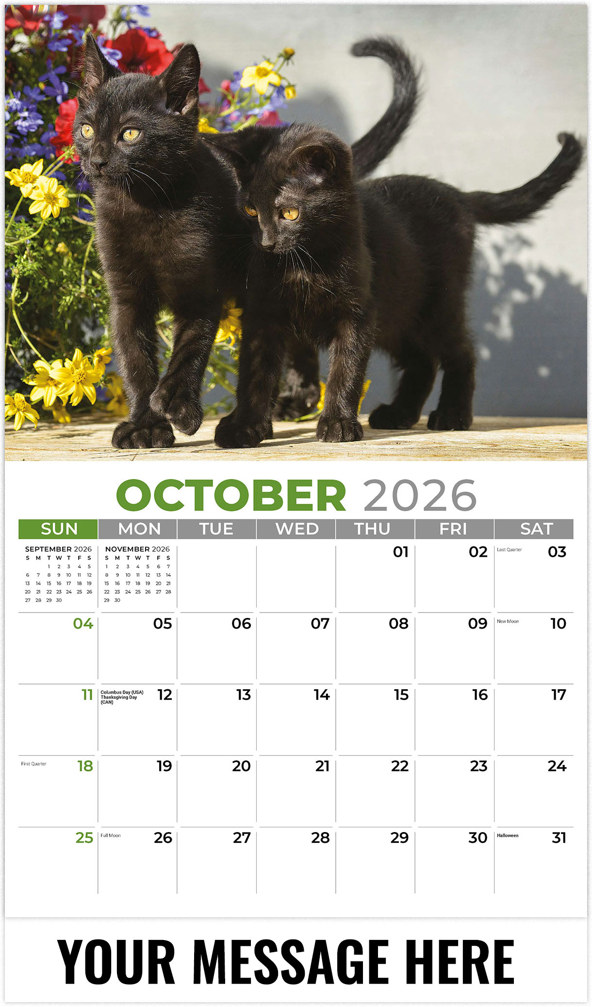 Galleria Kittens - 2026