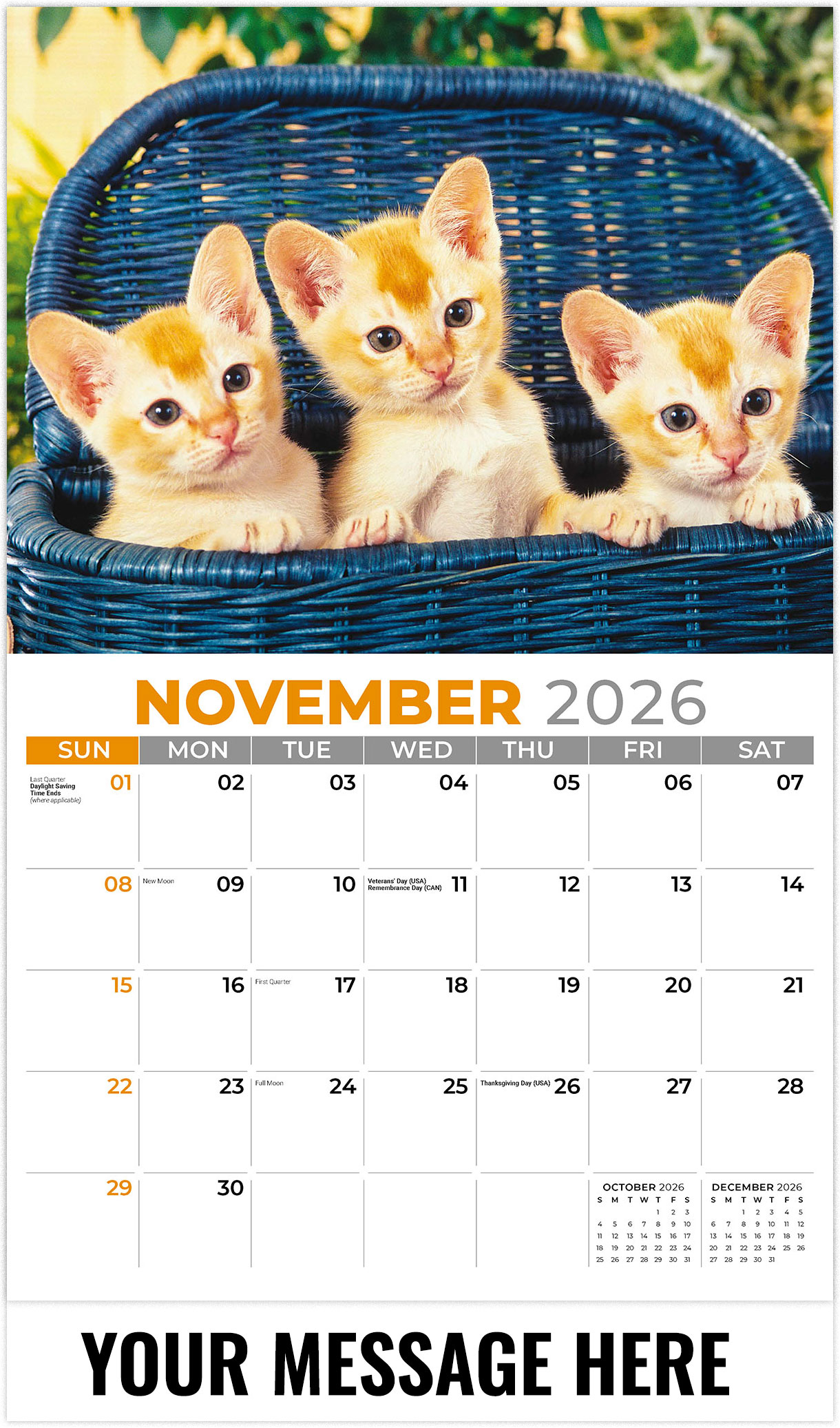 Galleria Kittens - 2026