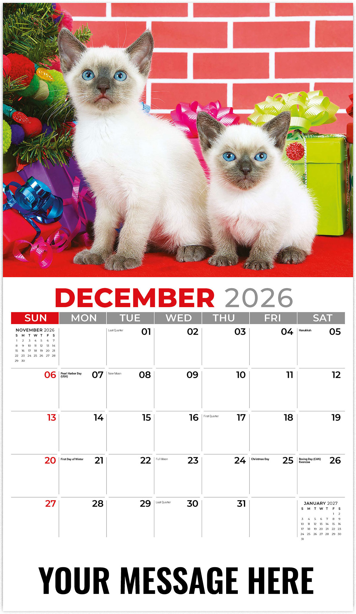 Galleria Kittens - 2026