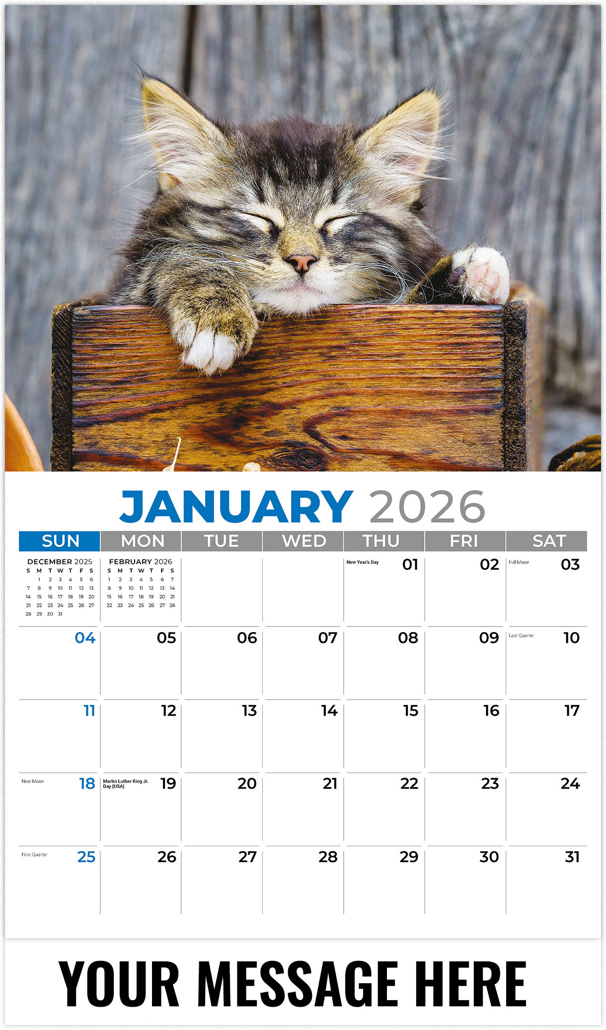 Galleria Kittens - 2026
