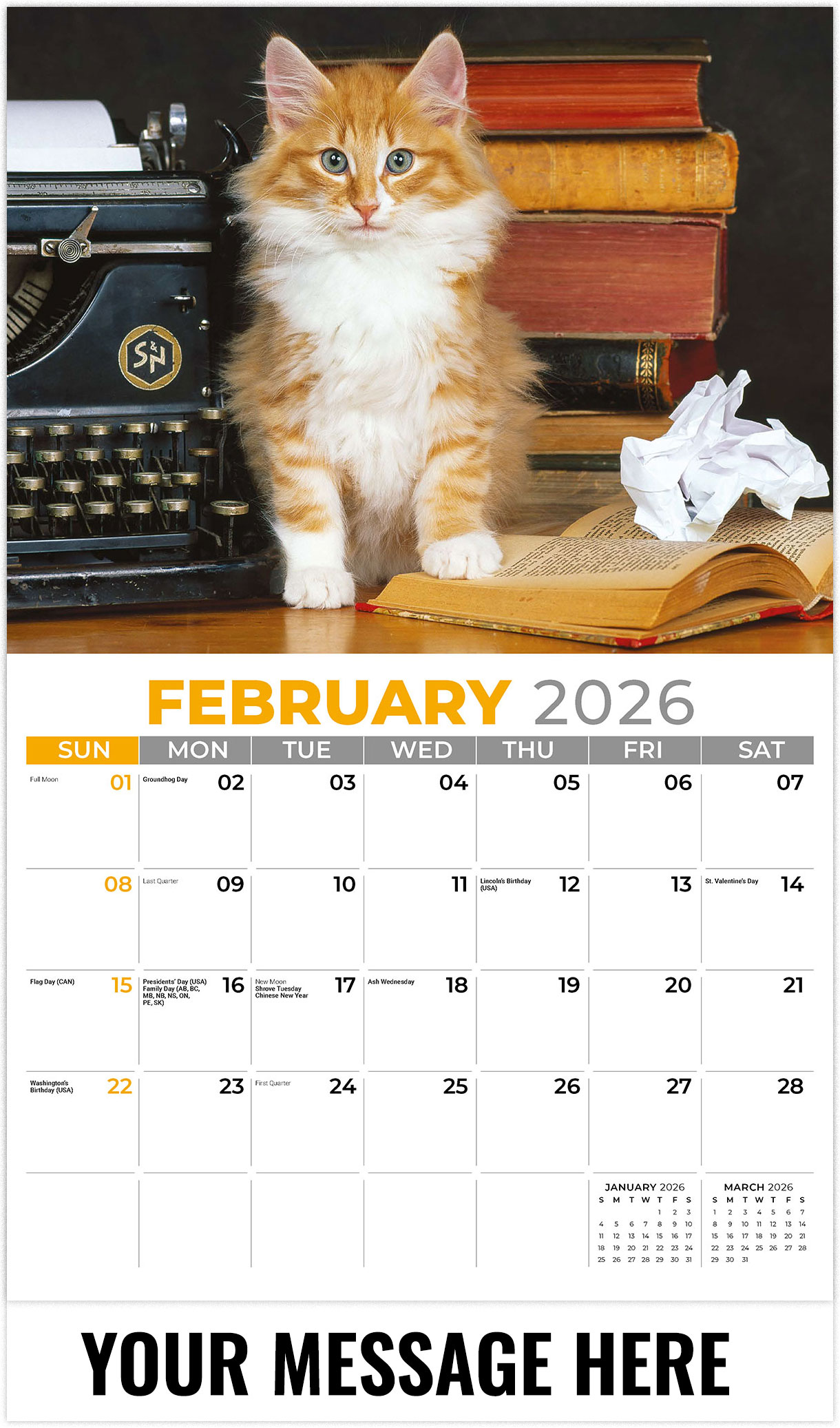 Galleria Kittens - 2026