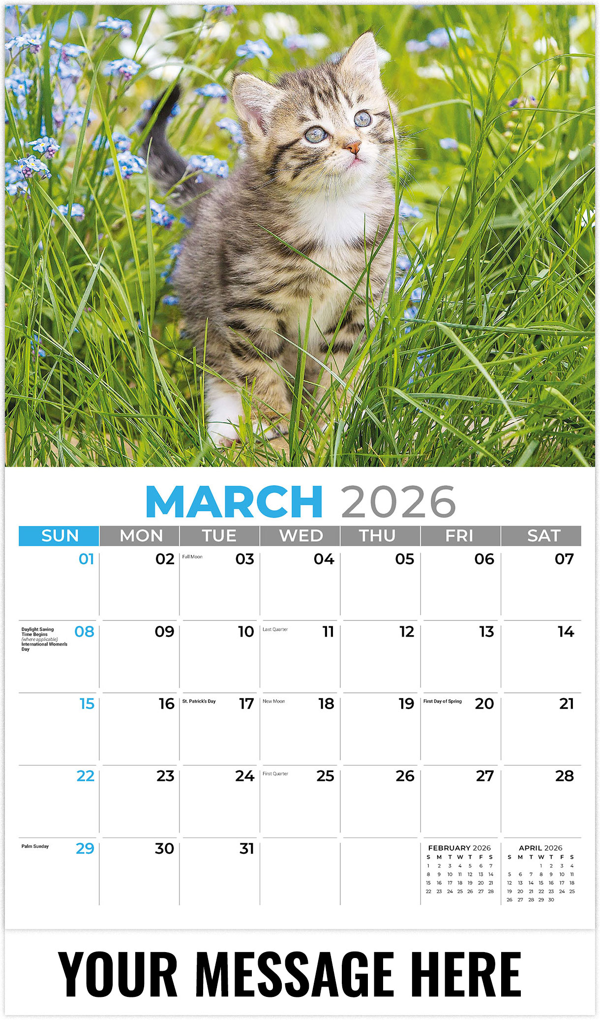 Galleria Kittens - 2026