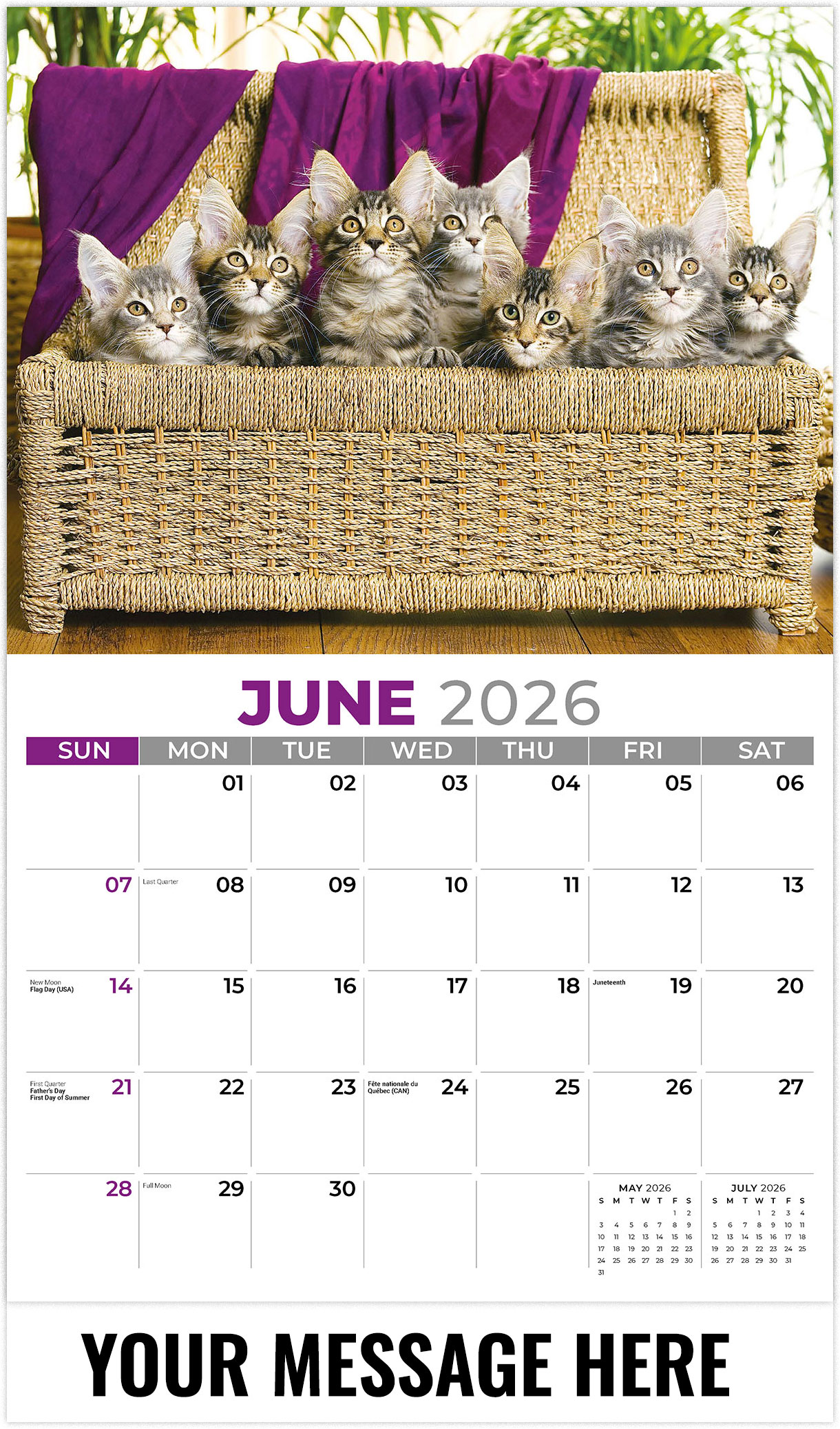 Galleria Kittens - 2026