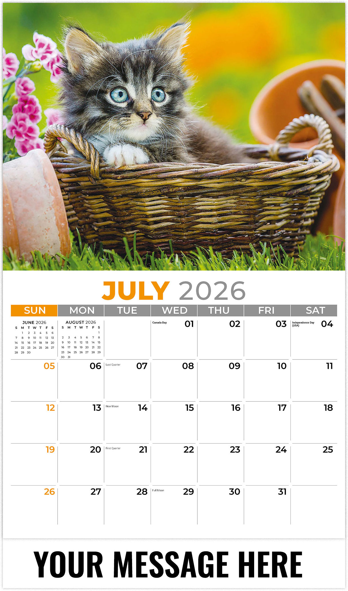 Galleria Kittens - 2026