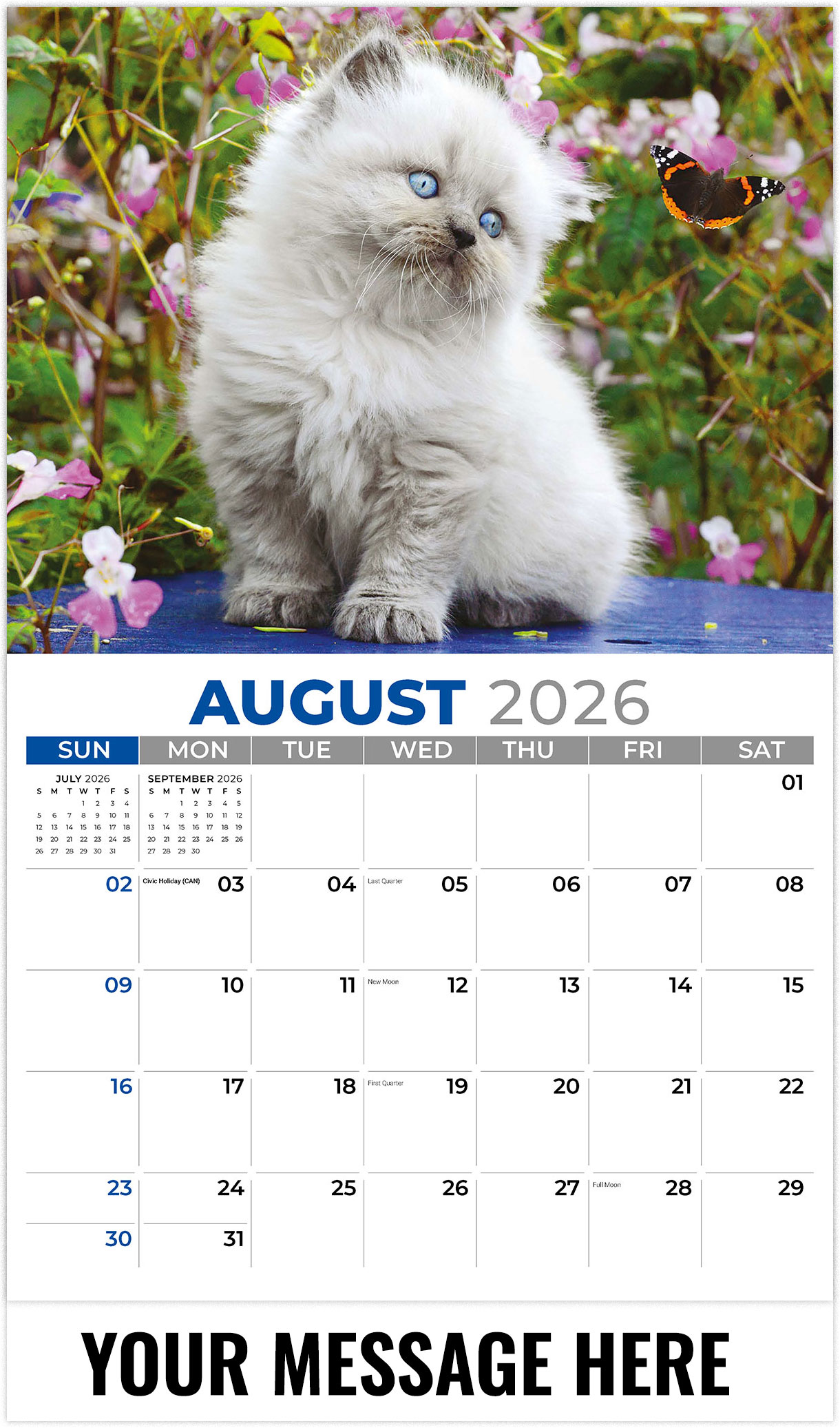 Galleria Kittens - 2026