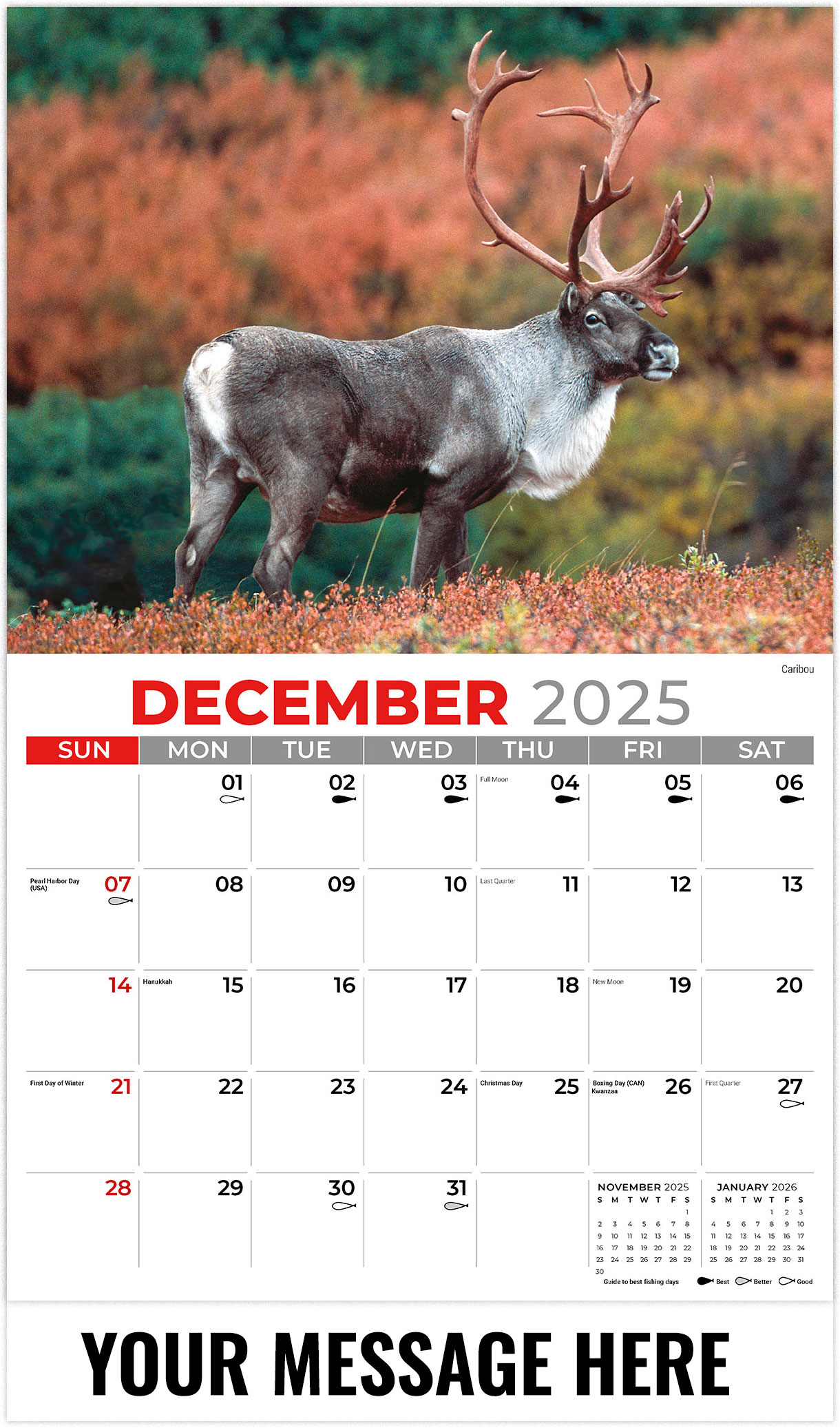Galleria North American Wildlife - 2026