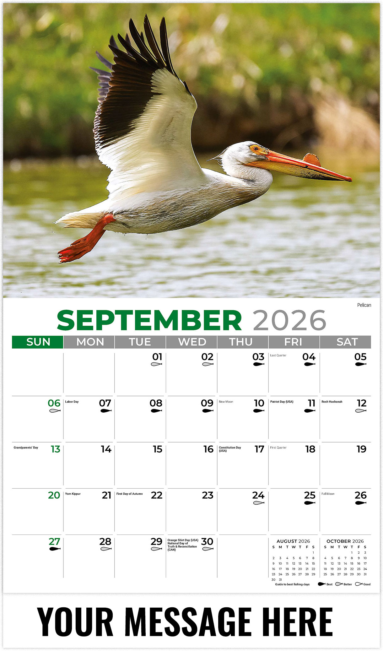 Galleria North American Wildlife - 2026
