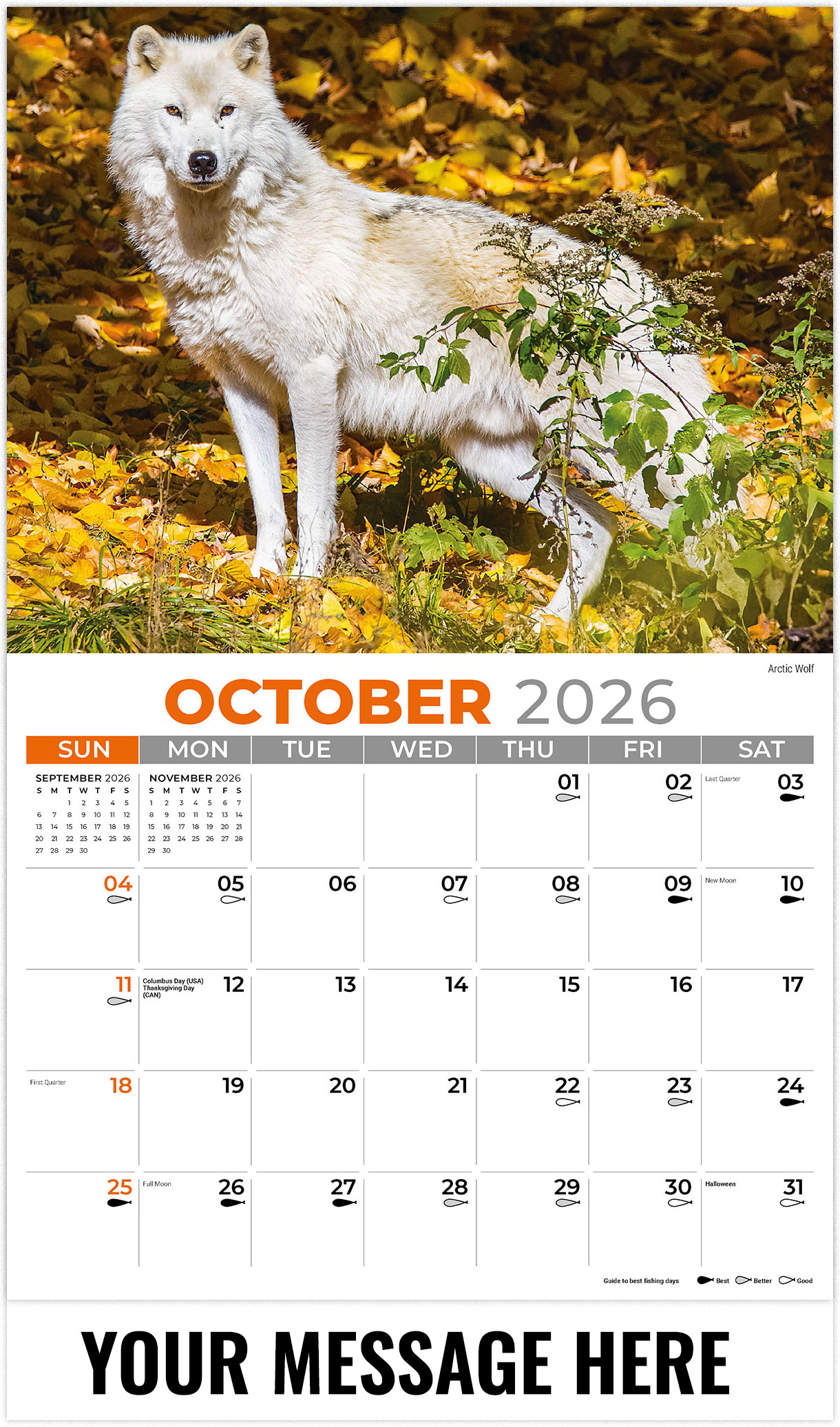 Galleria North American Wildlife - 2026