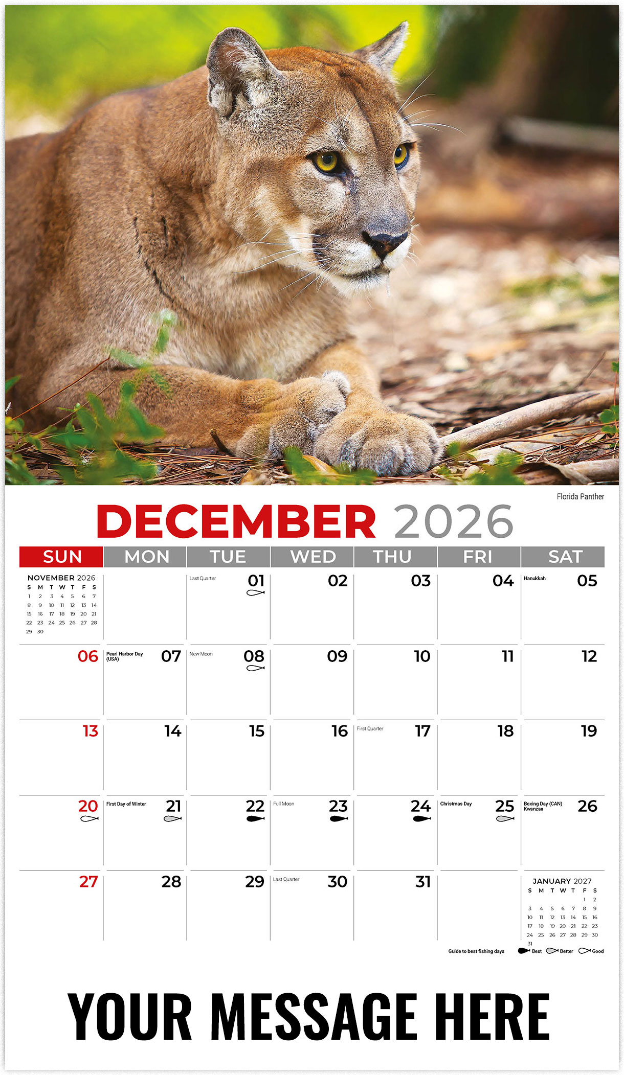 Galleria North American Wildlife - 2026