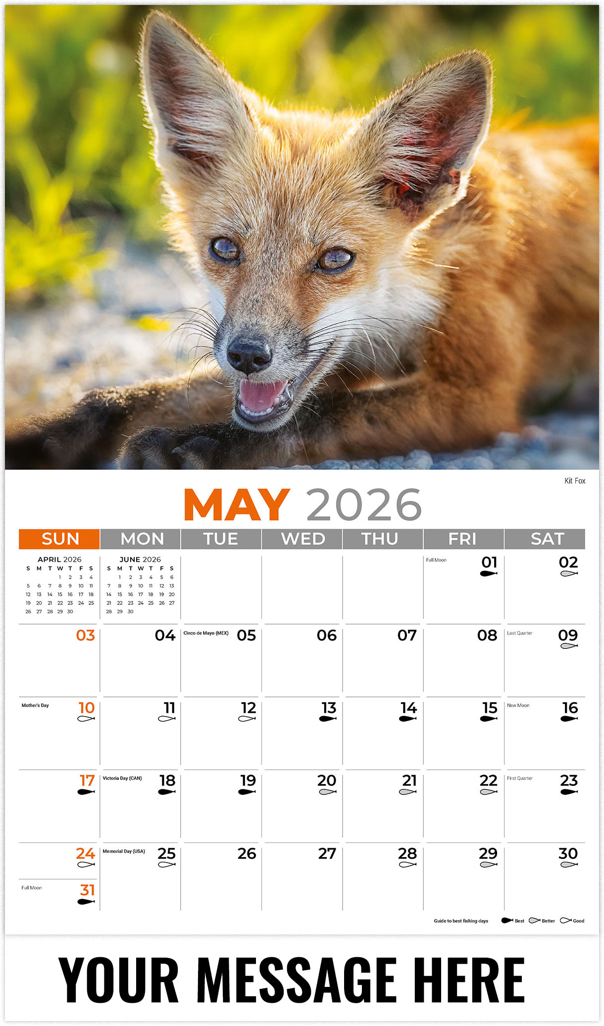 Galleria North American Wildlife - 2026