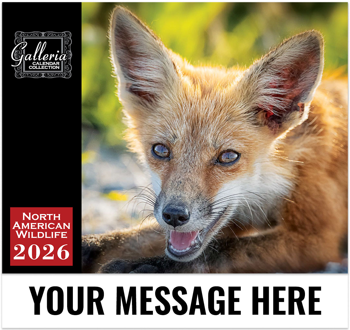 North American Wildlife Wall Calendar