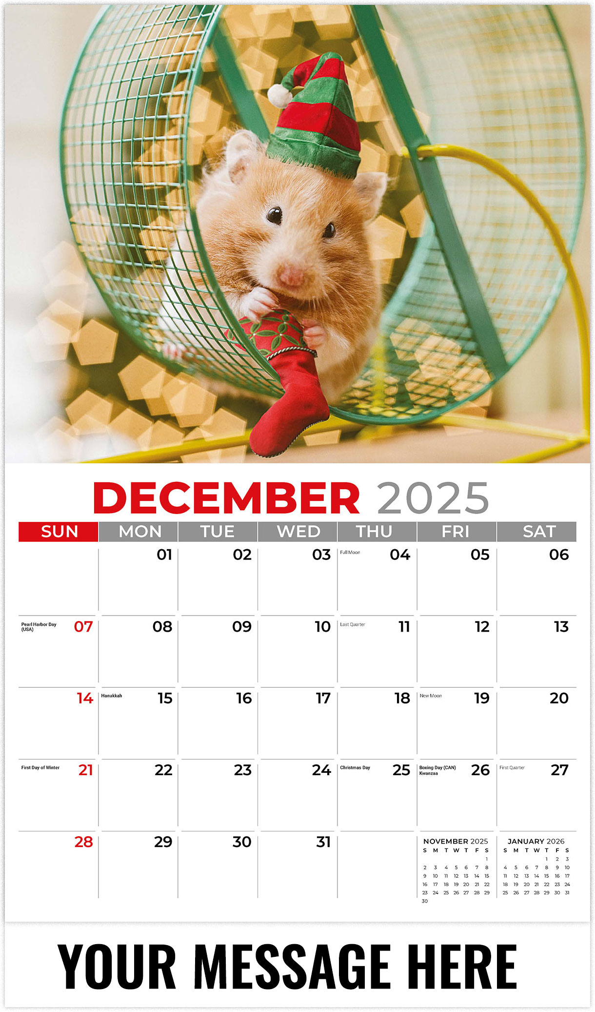 Galleria Pets - 2026