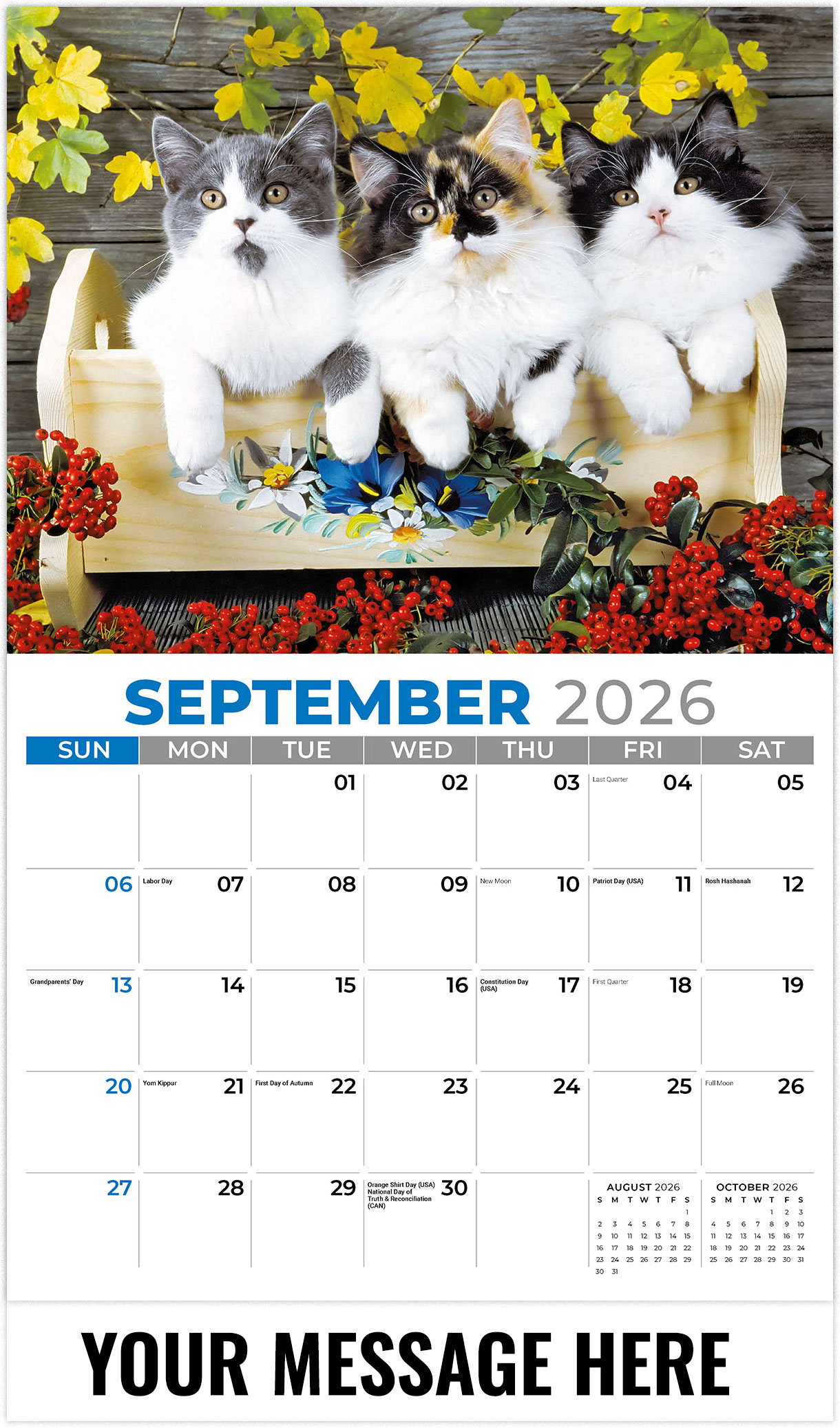 Galleria Pets - 2026