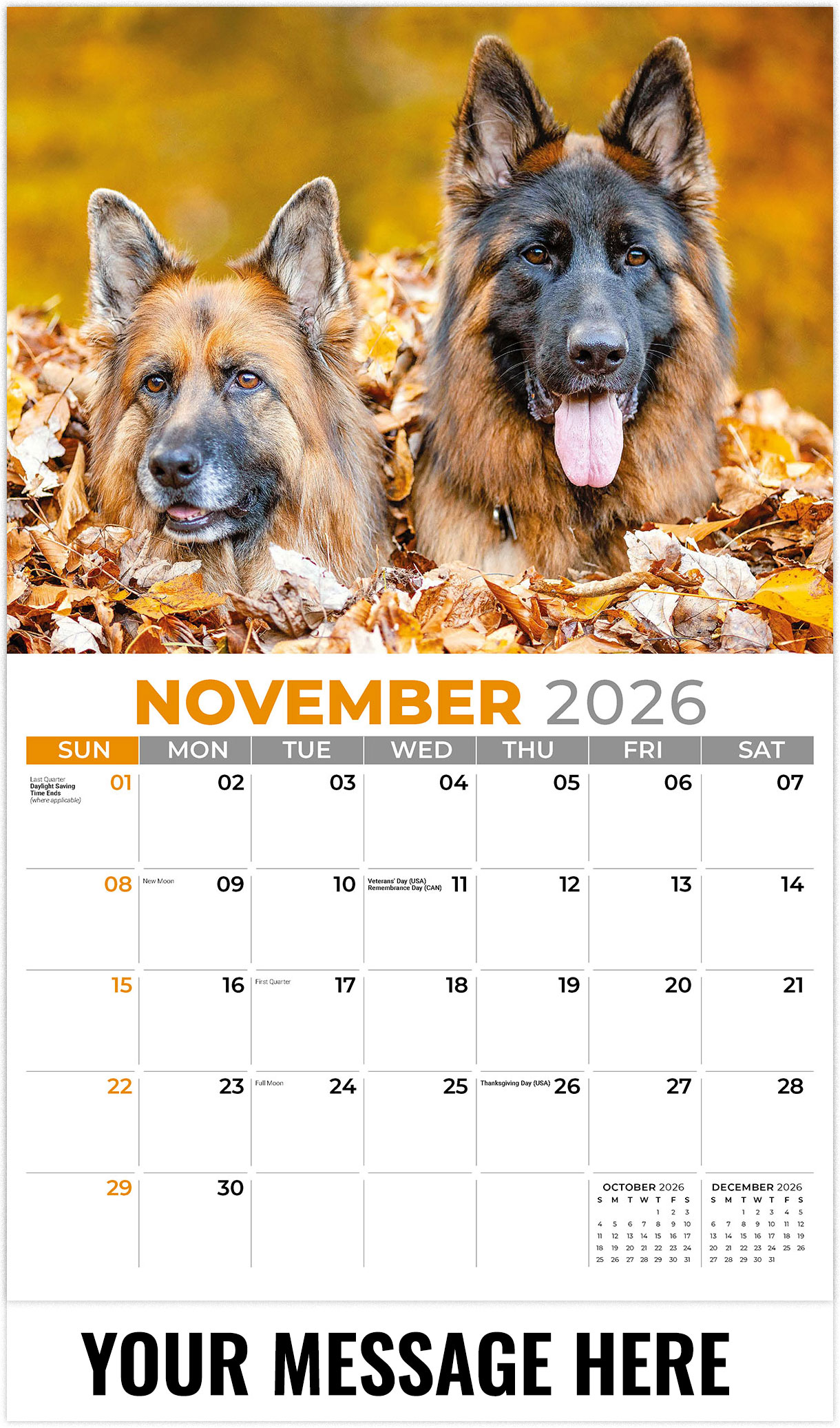 Galleria Pets - 2026