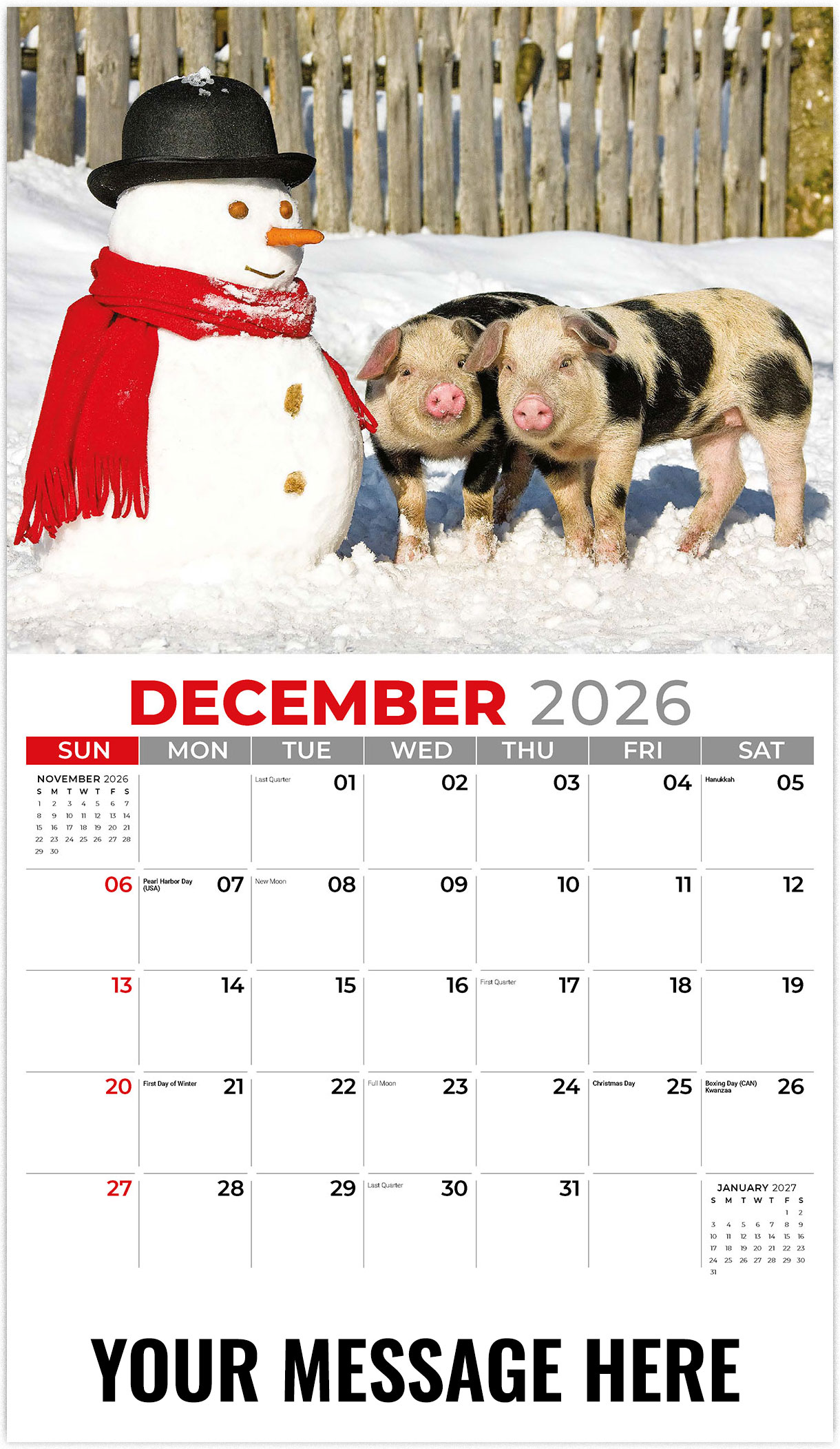 Galleria Pets - 2026
