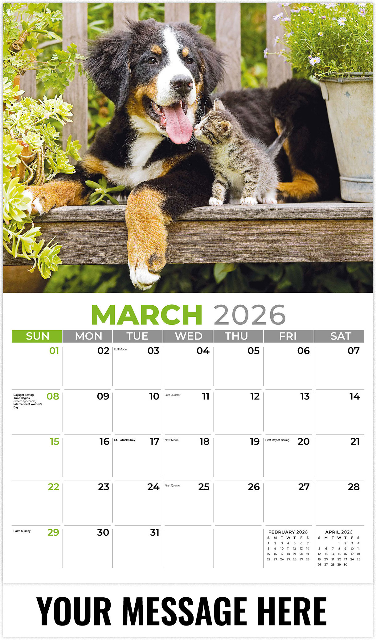 Galleria Pets - 2026