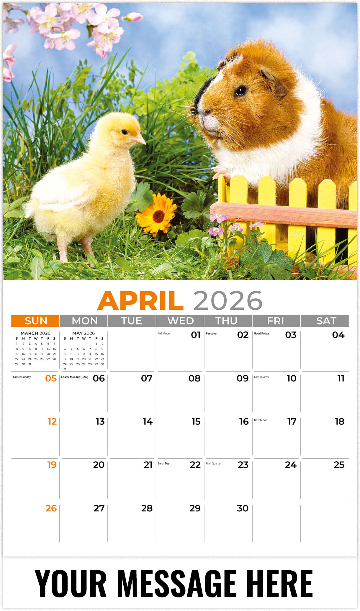 Galleria Pets - 2026