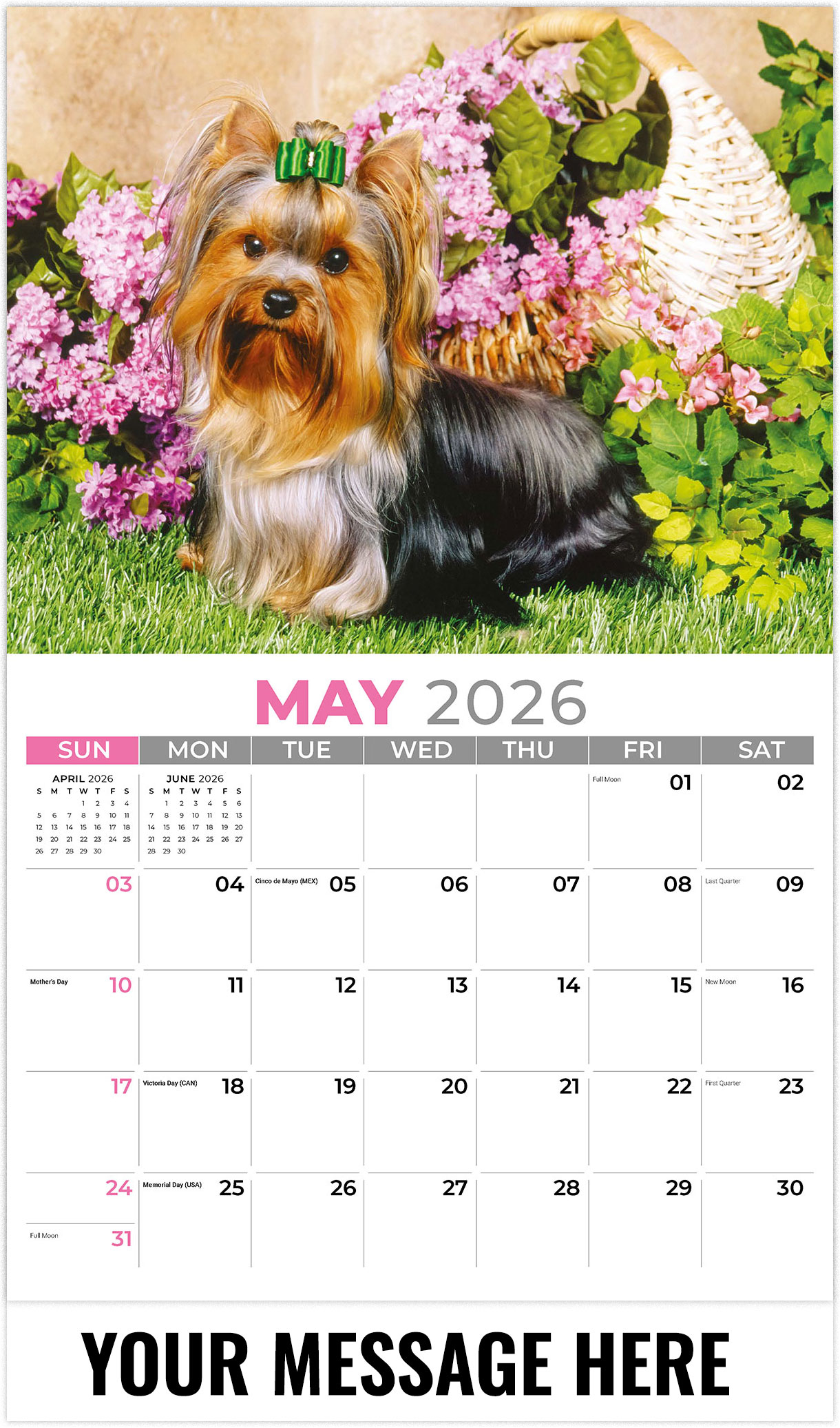 Galleria Pets - 2026