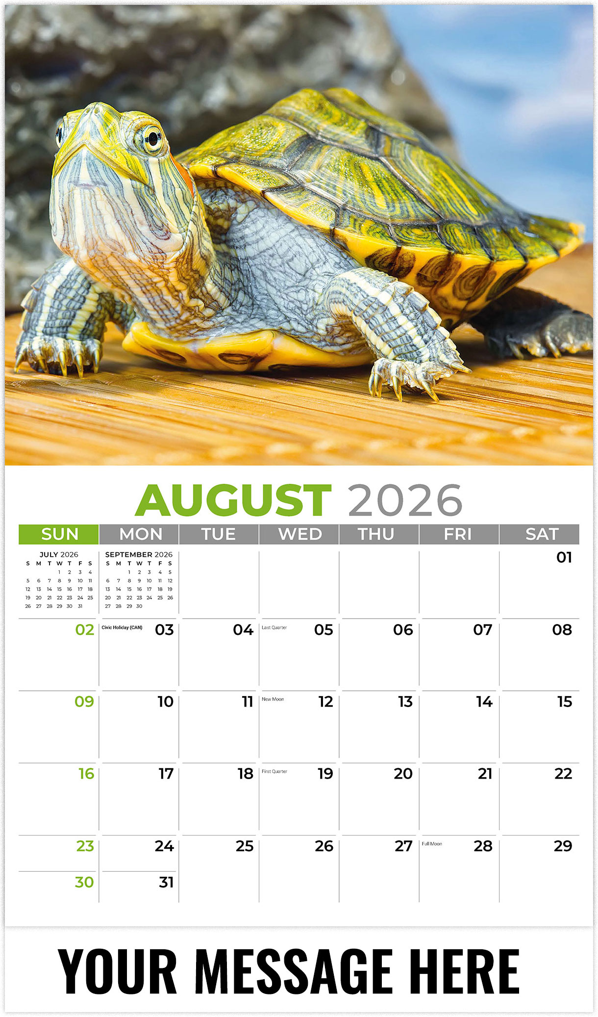 Galleria Pets - 2026
